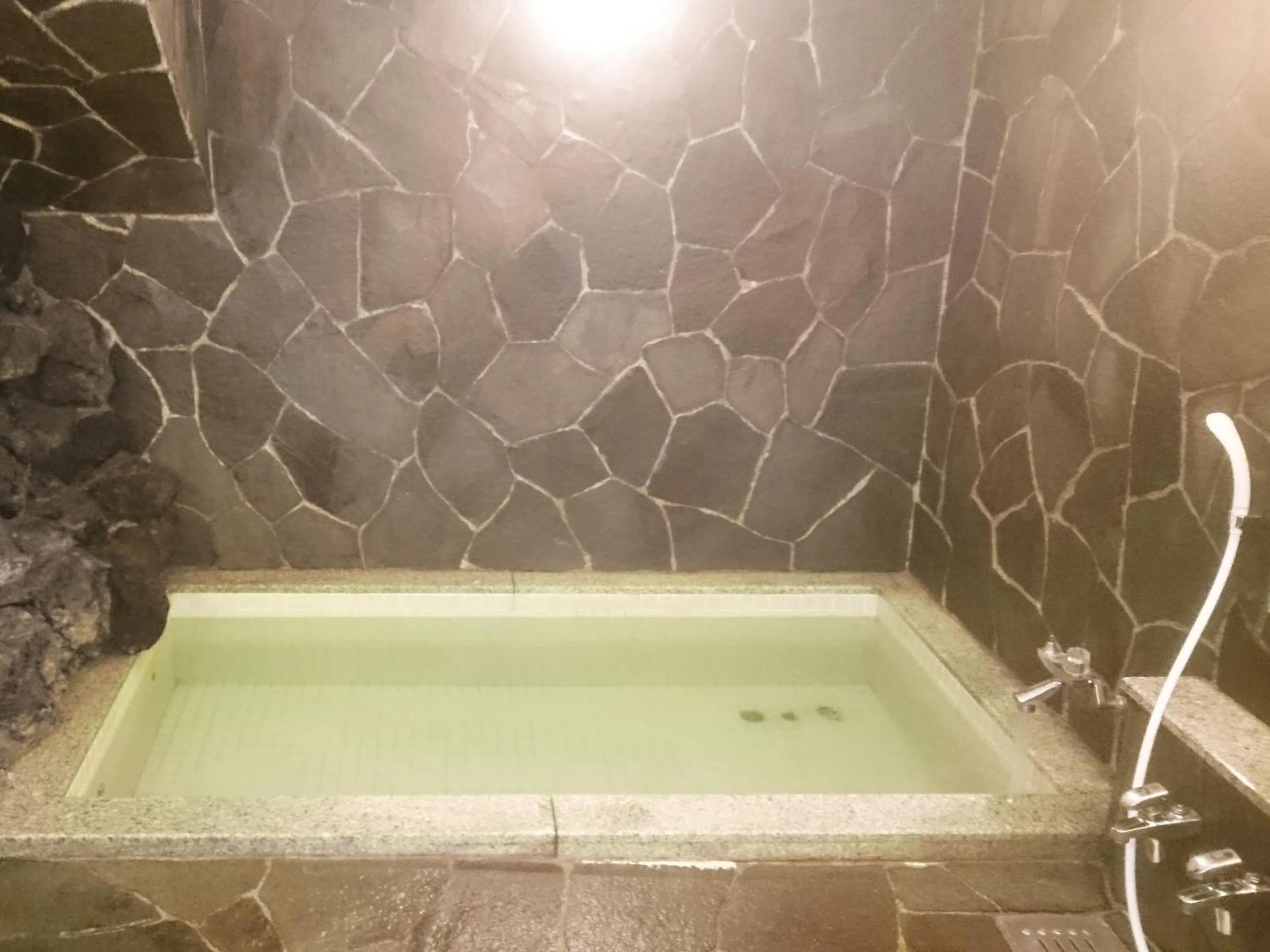 Public Bath in Hotel Madam Mirei