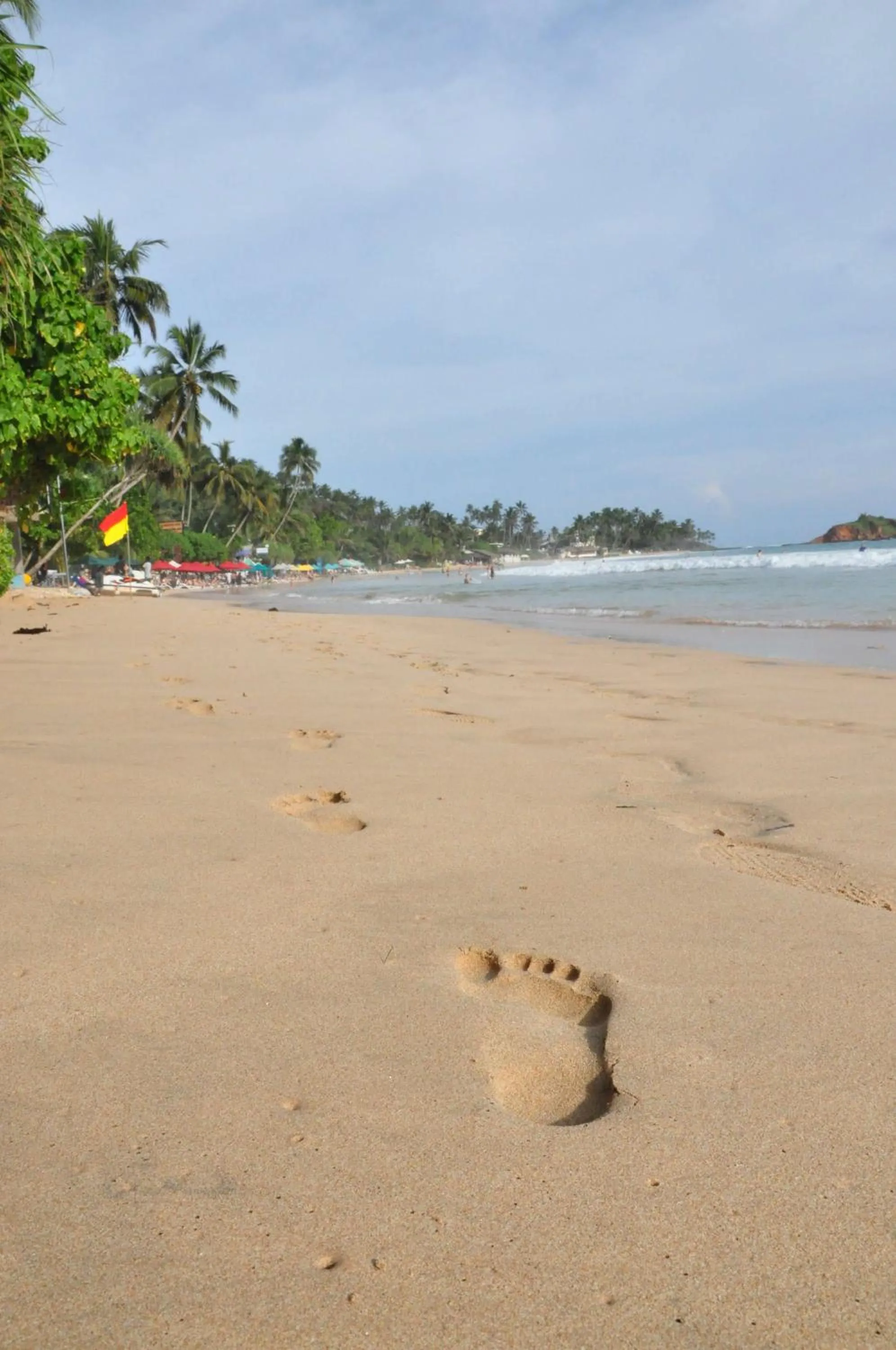 Beach in Mama's place Mirissa