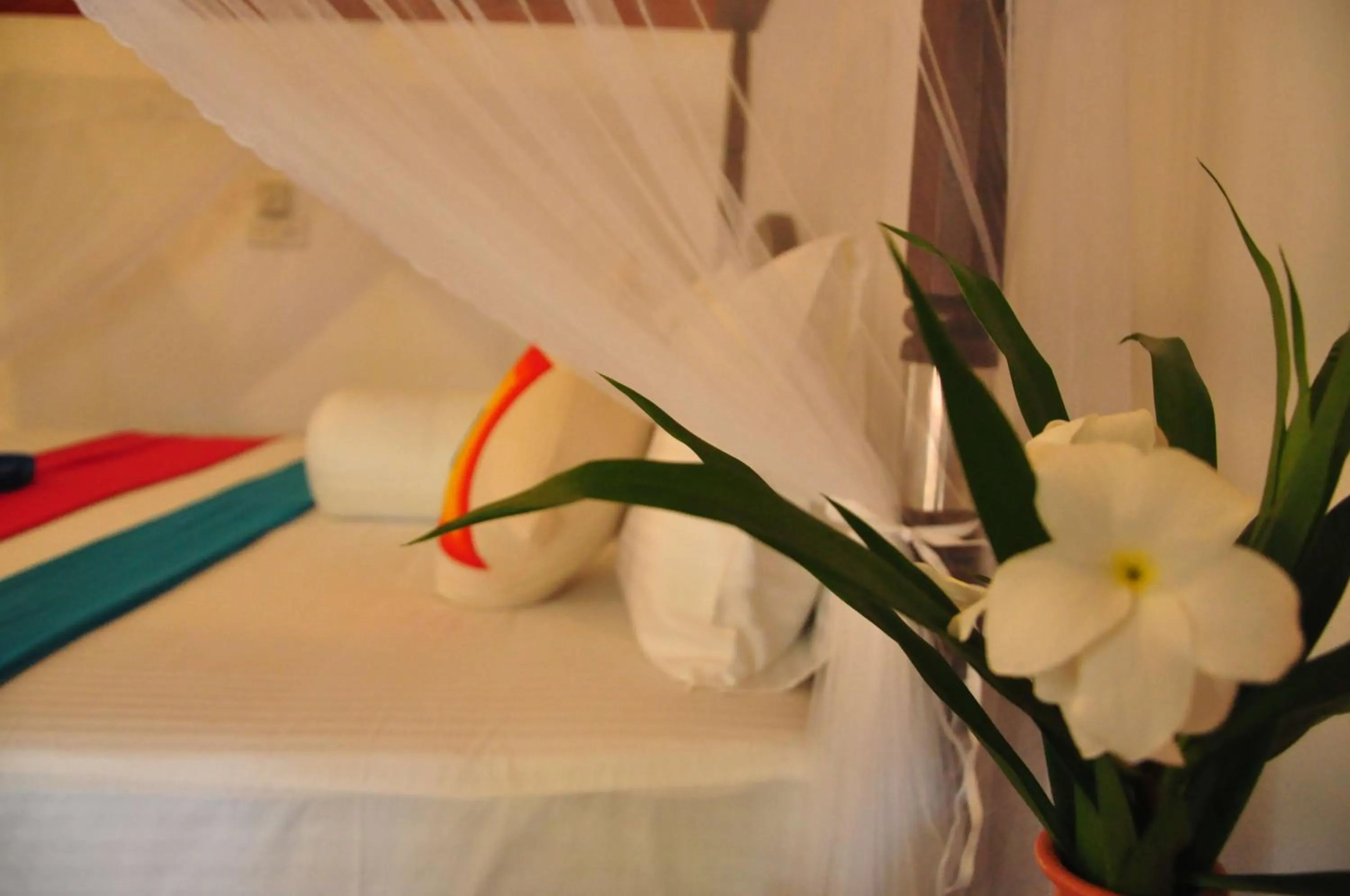 Bedroom in Mama's place Mirissa