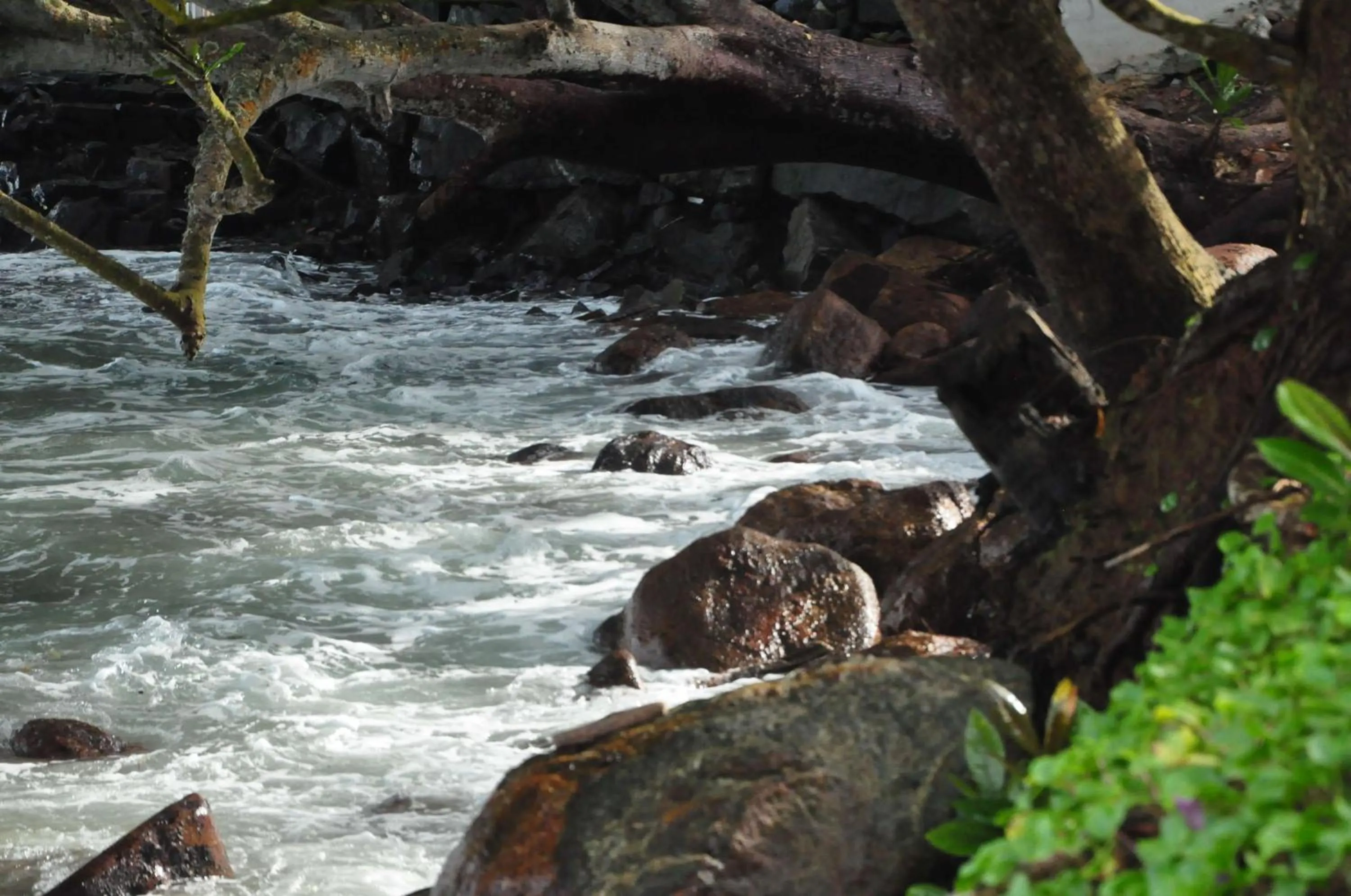 Beach in Mama's place Mirissa