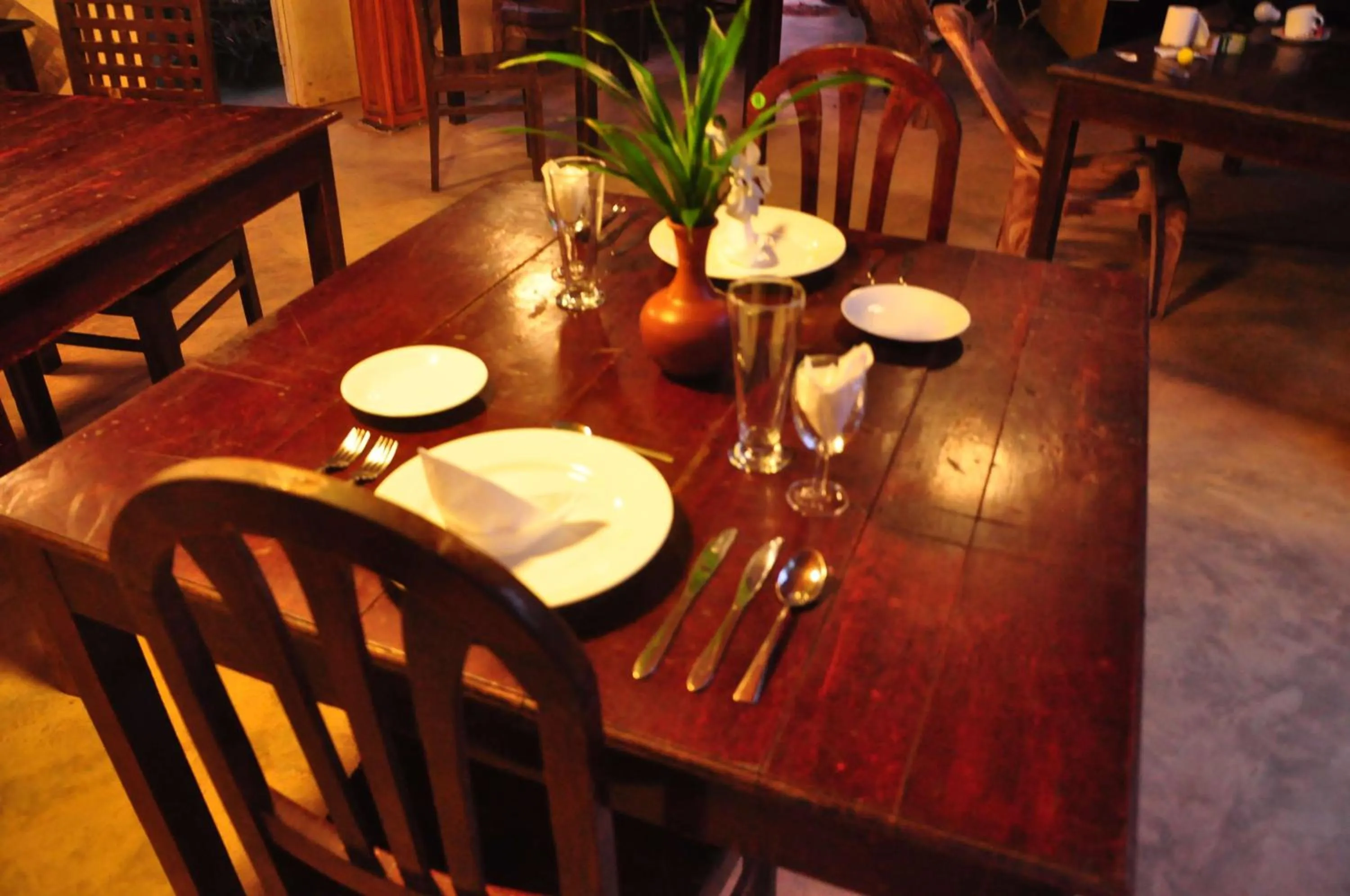 Restaurant/places to eat in Mama's place Mirissa