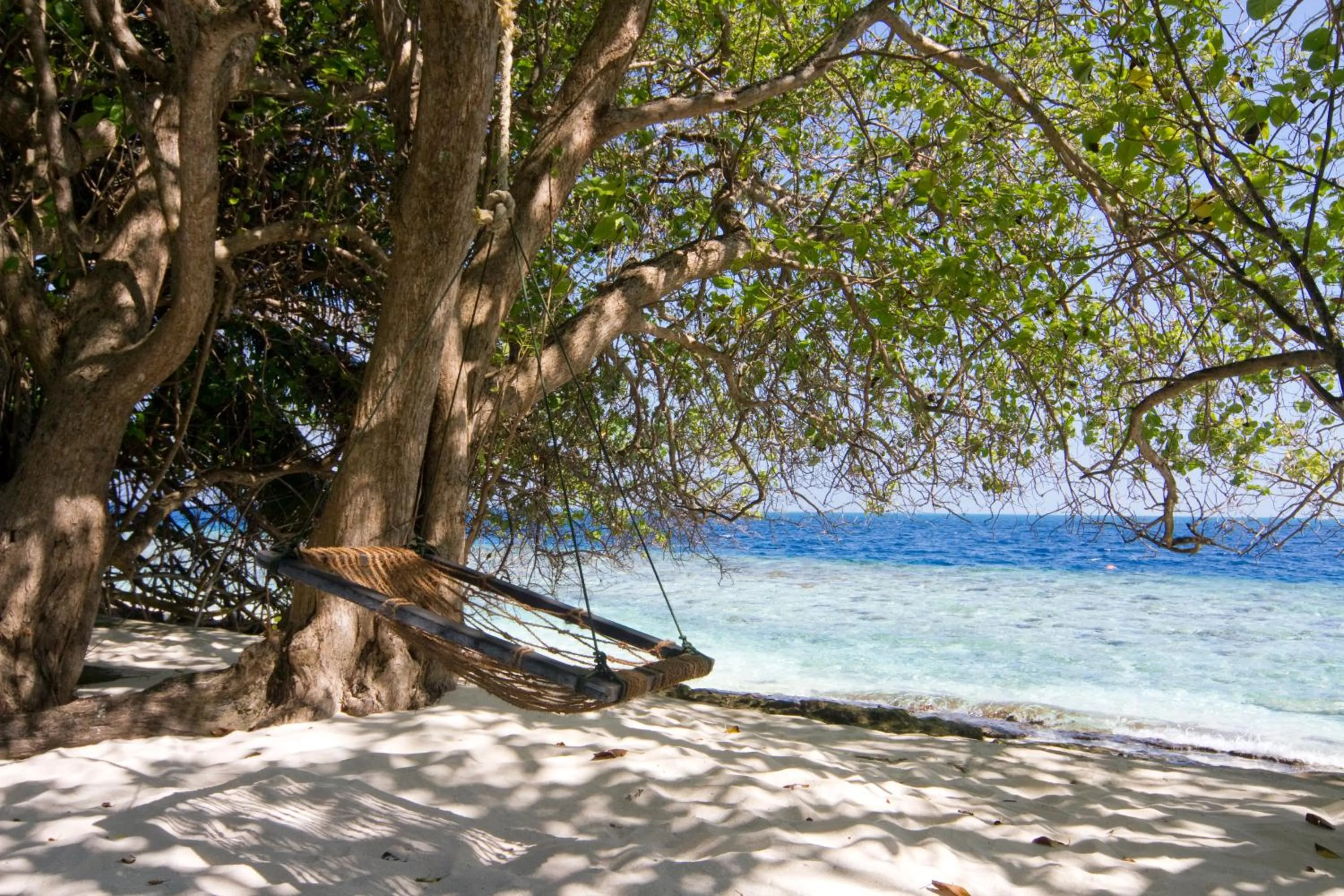 Garden in Embudu Village Maldives