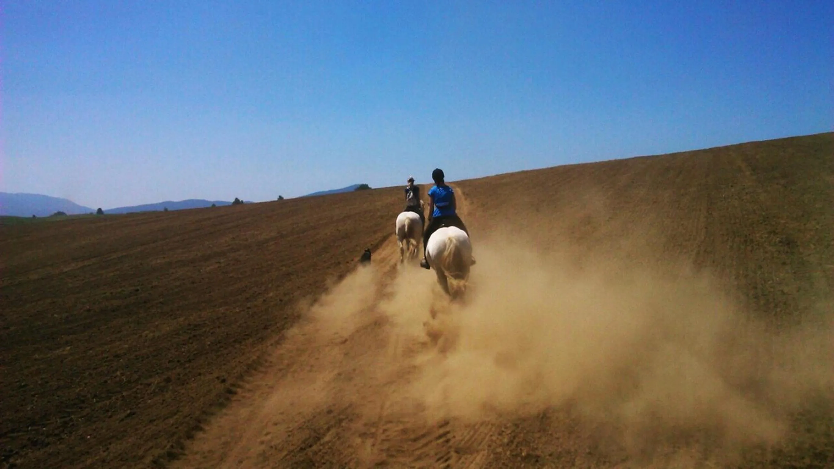 Horse-riding in Ranch Terra