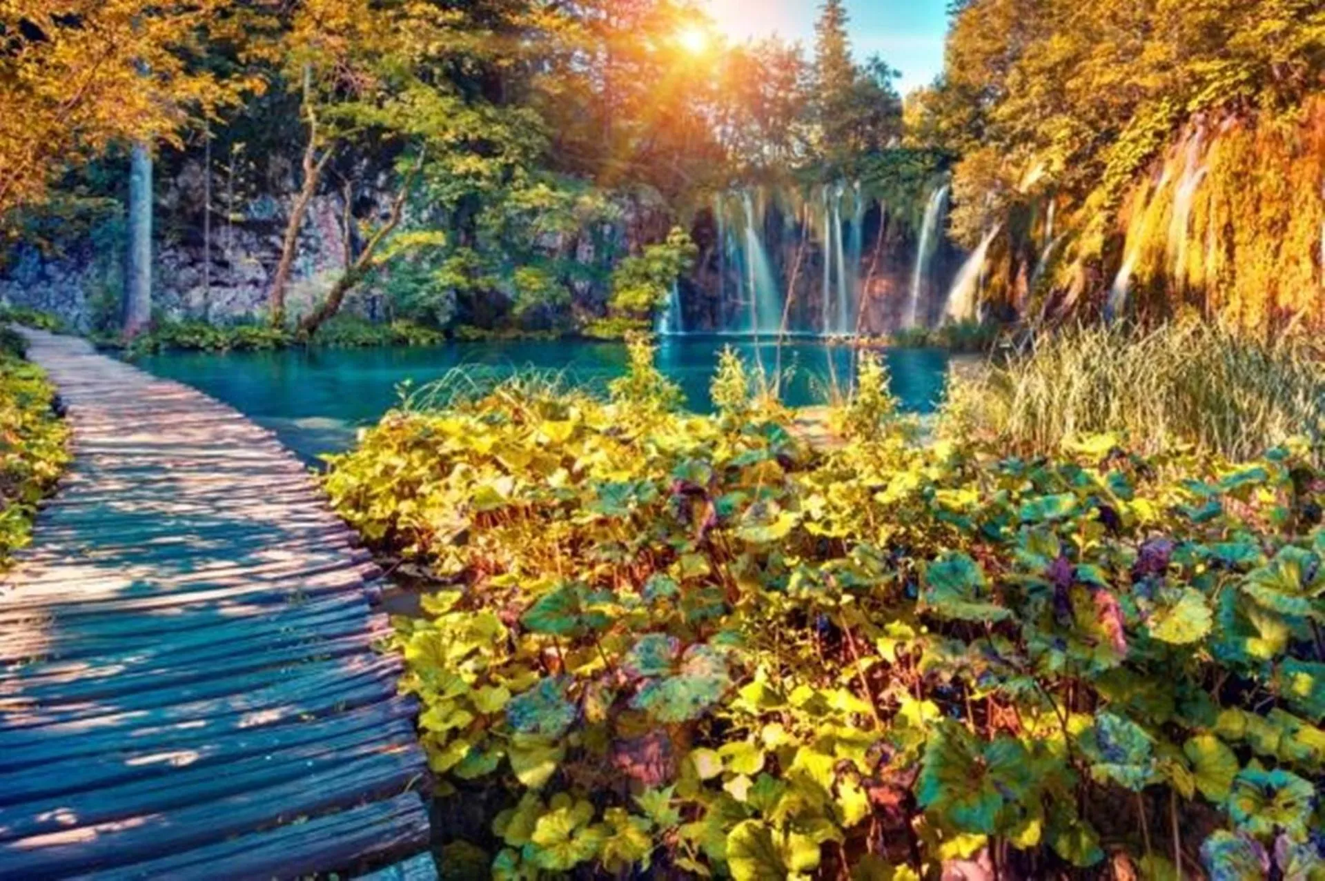 Natural landscape in Ranch Terra