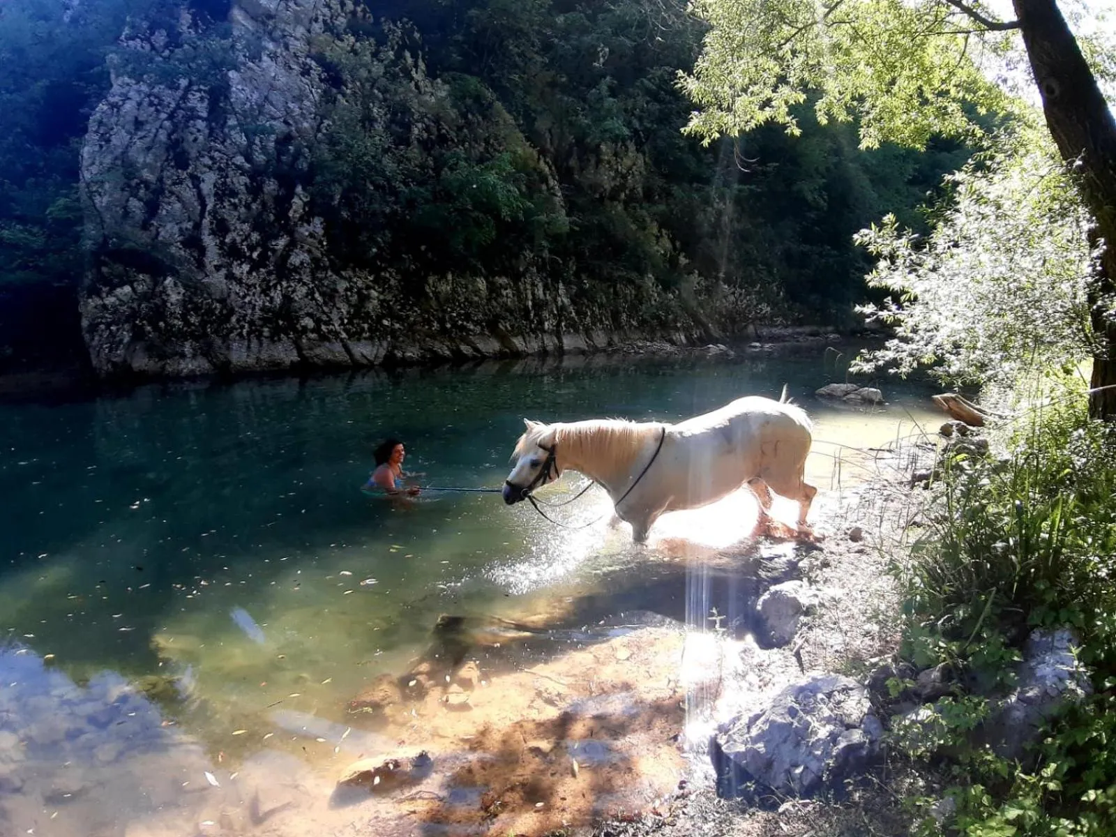 Horse-riding in Ranch Terra
