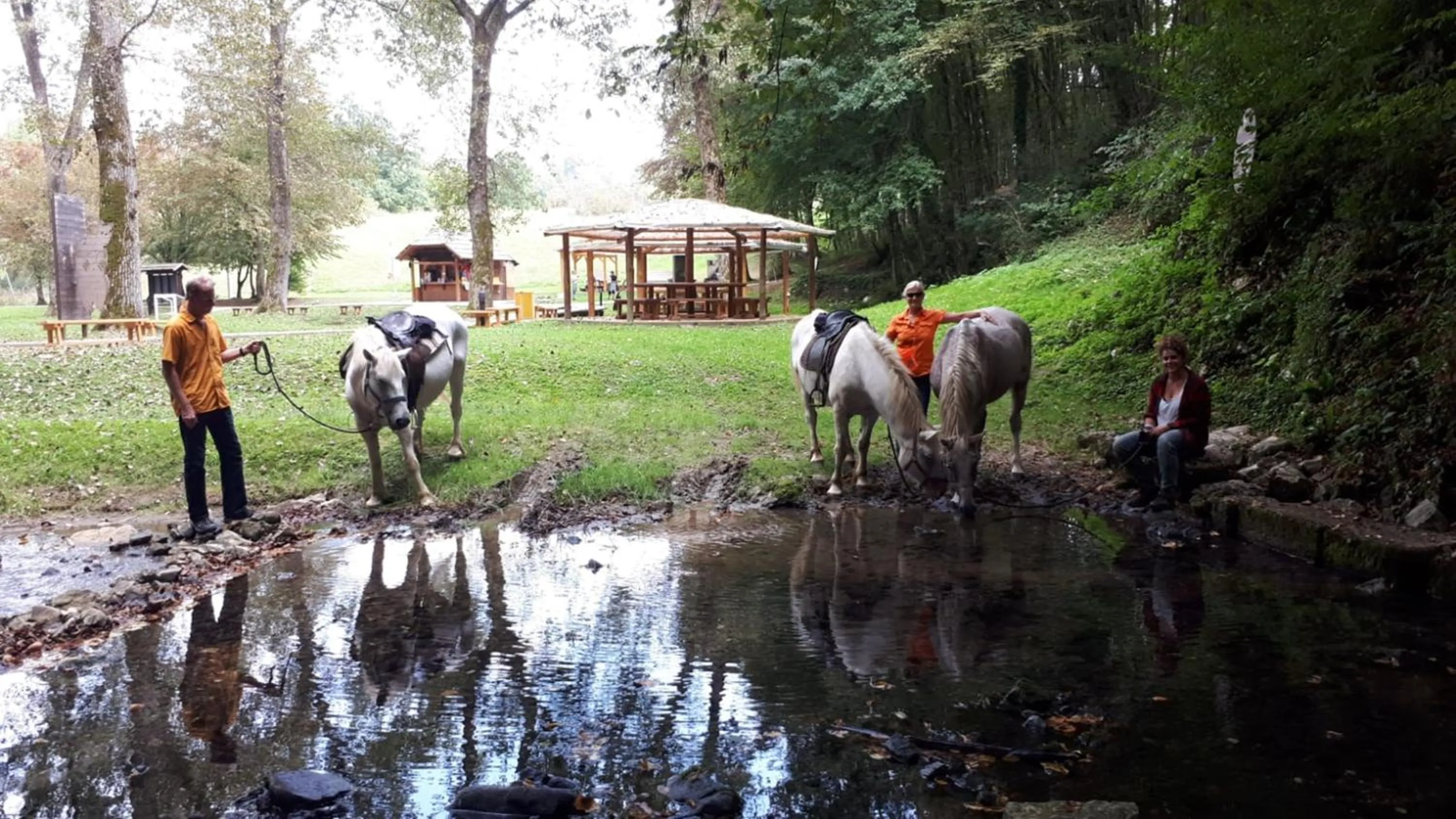 Neighbourhood in Ranch Terra