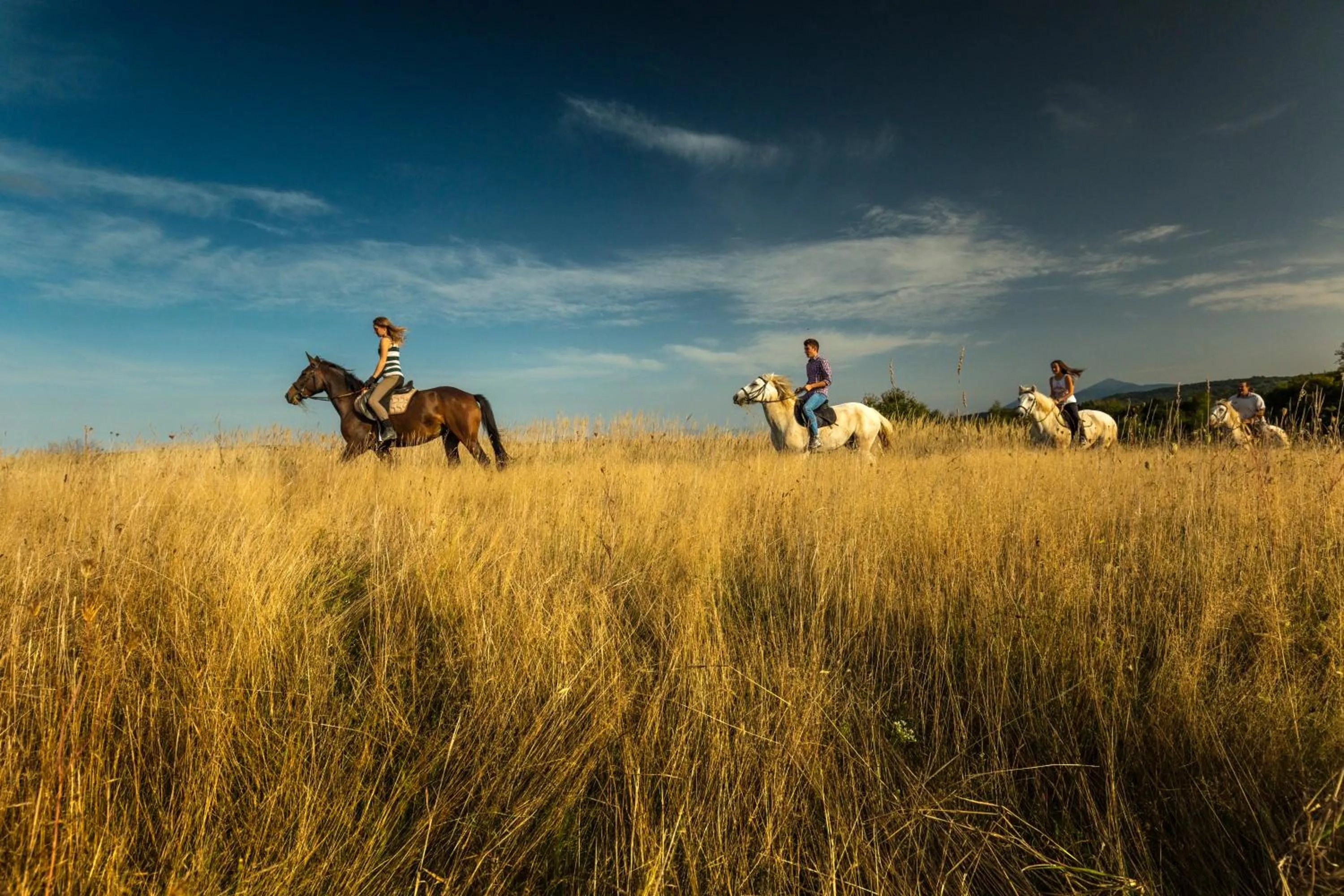 older children in Ranch Terra