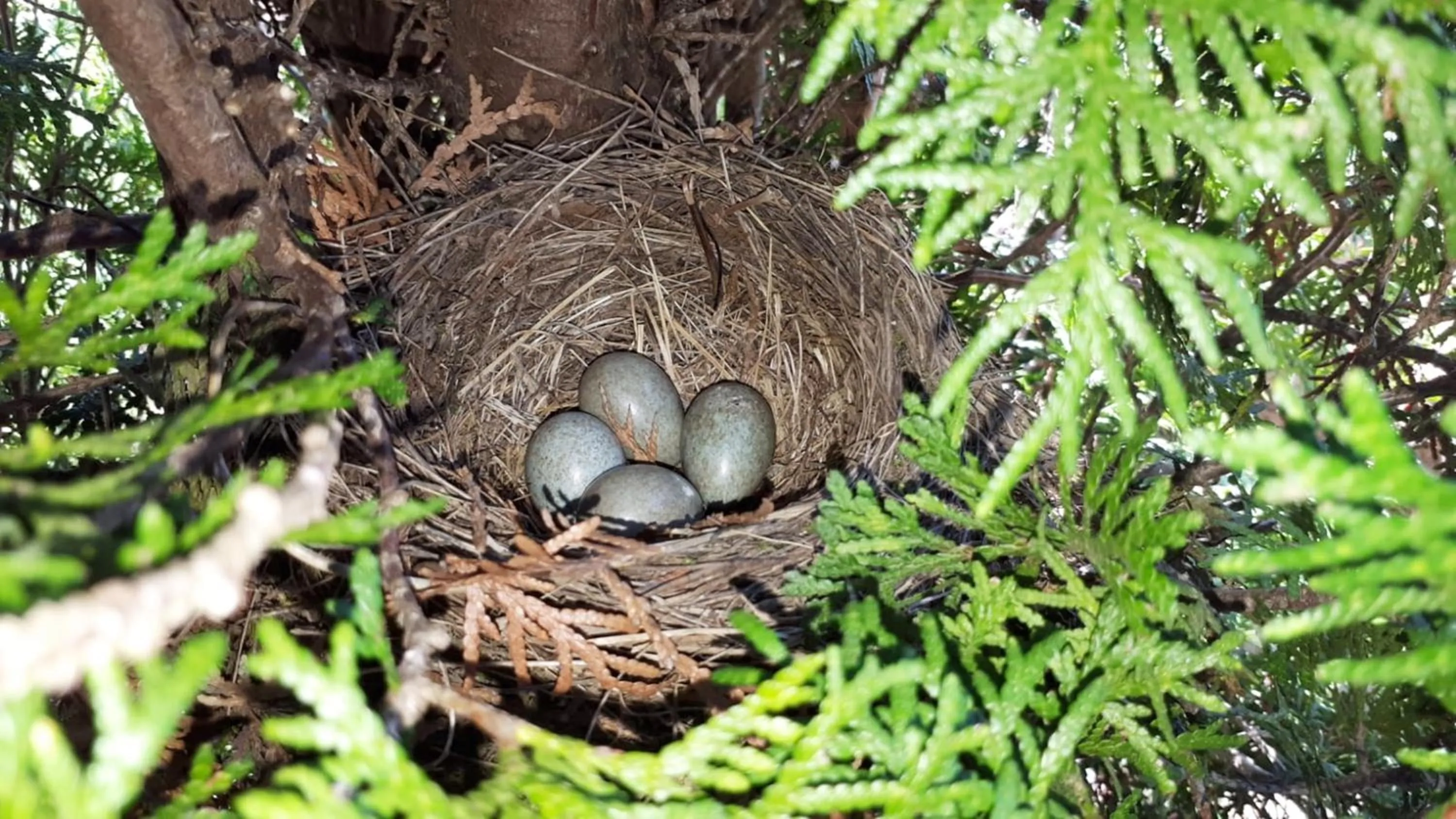 On site in Ranch Terra