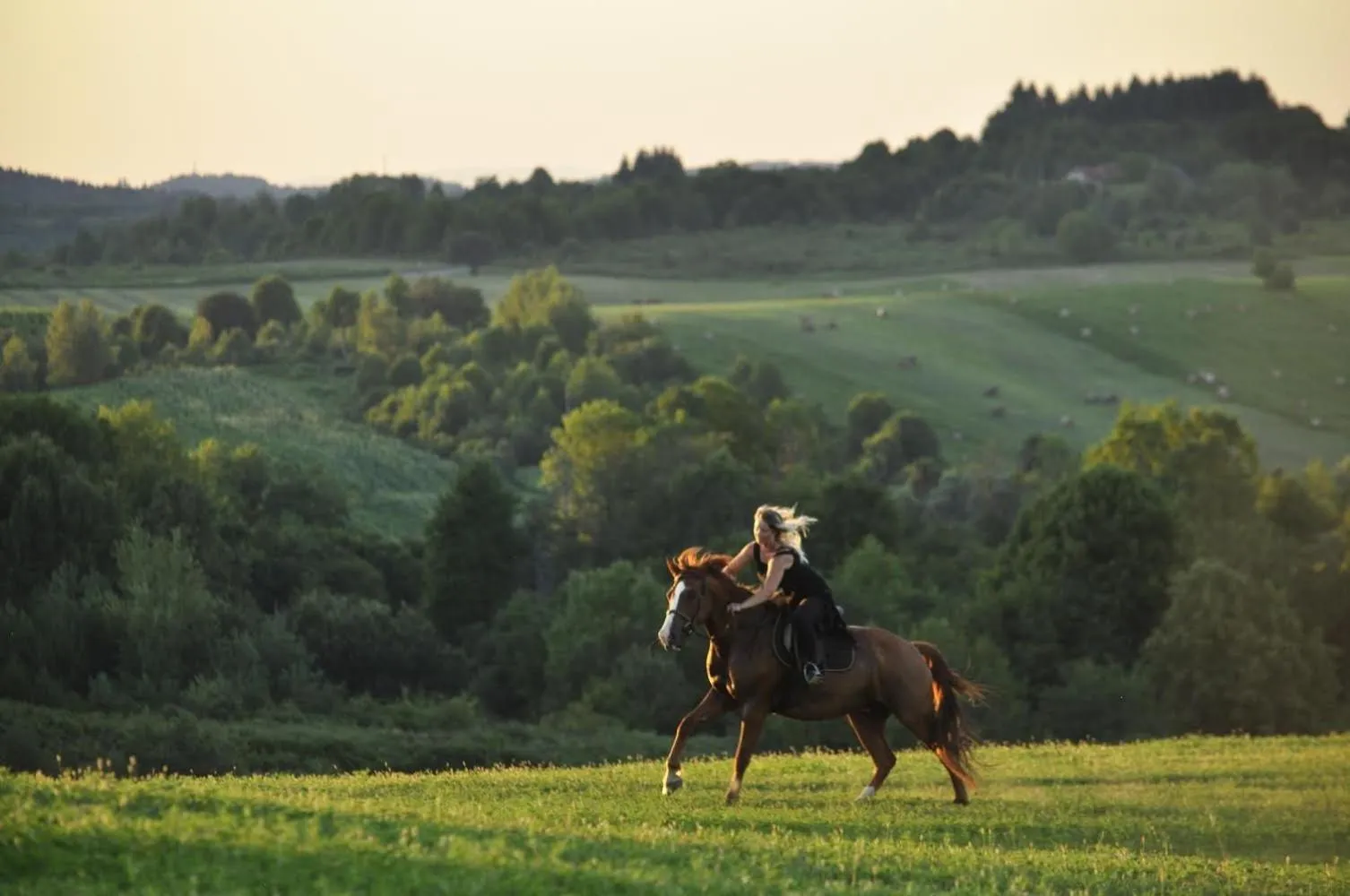 Natural landscape in Ranch Terra