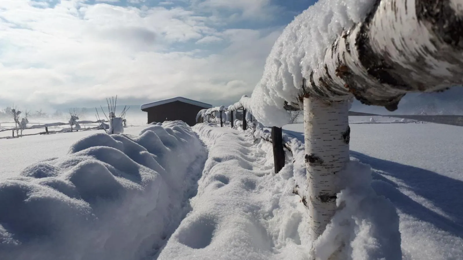 Garden view in Ranch Terra