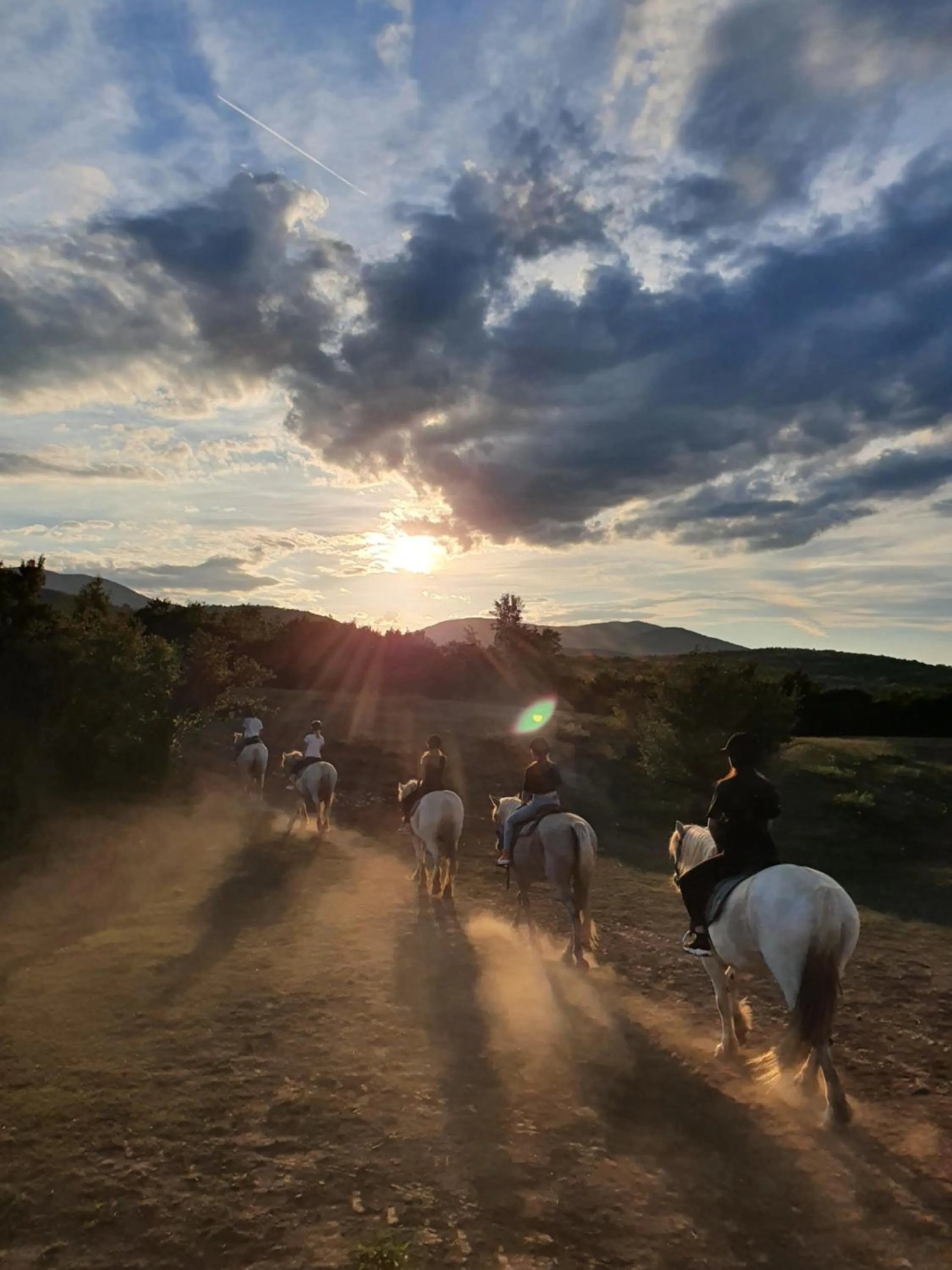 group of guests in Ranch Terra
