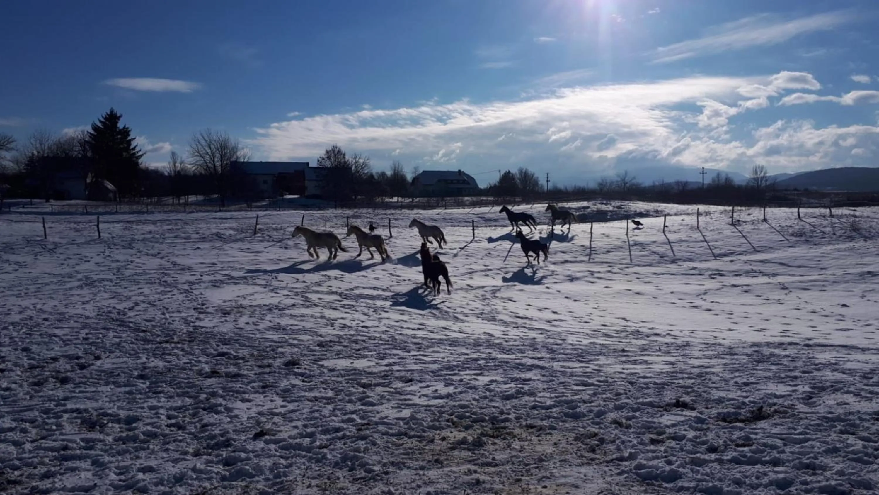 Garden view in Ranch Terra