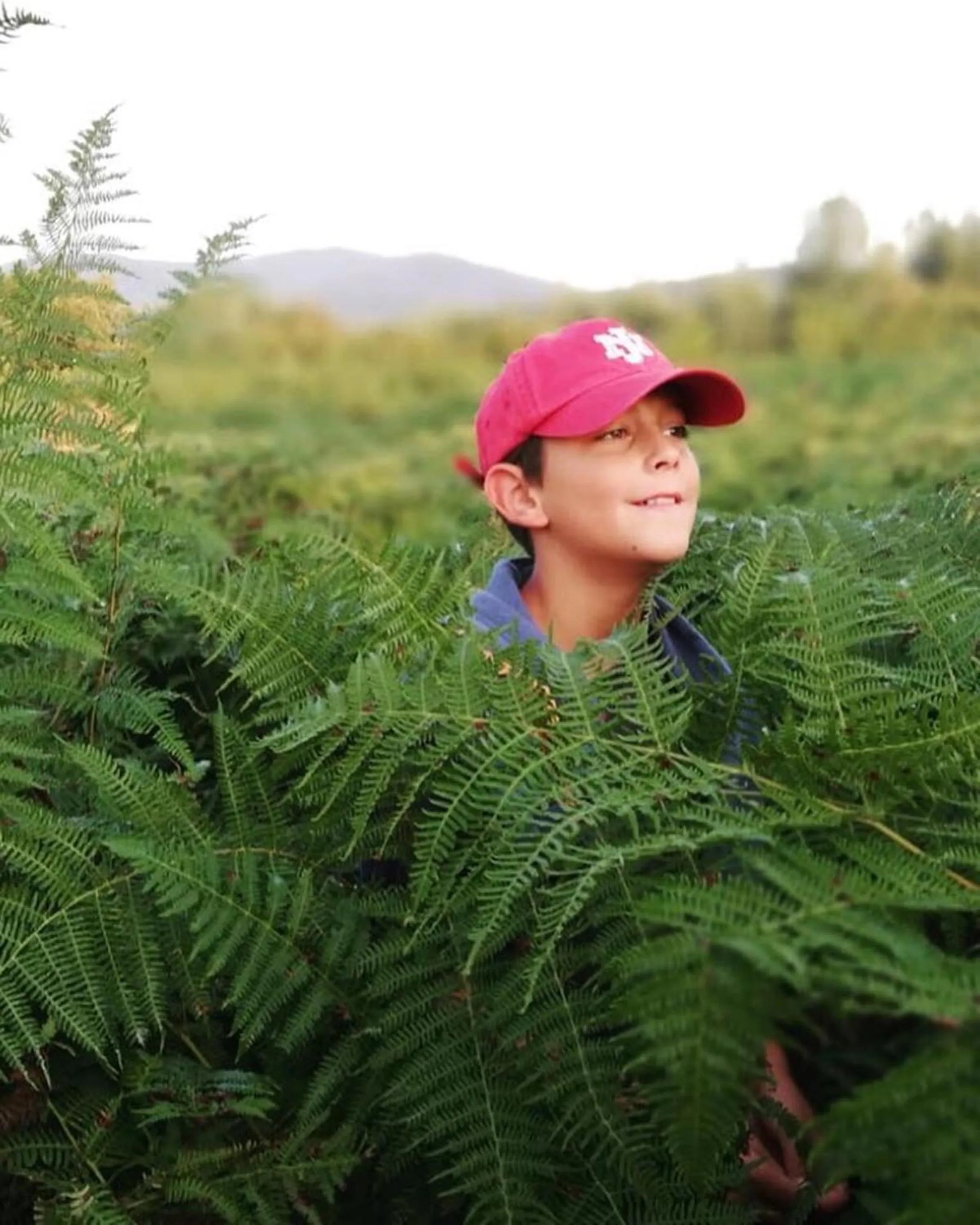 Garden view in Ranch Terra