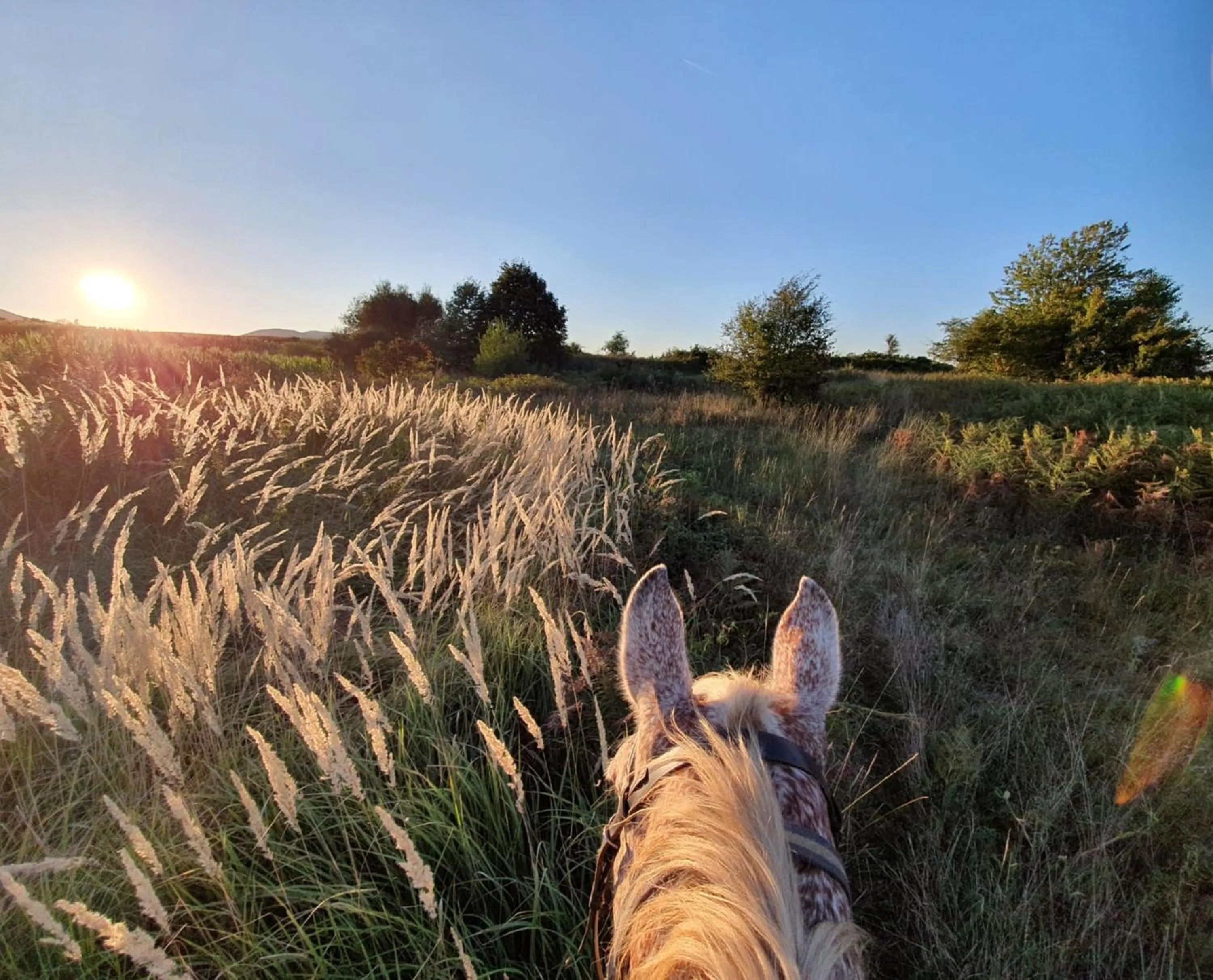 Nearby landmark in Ranch Terra