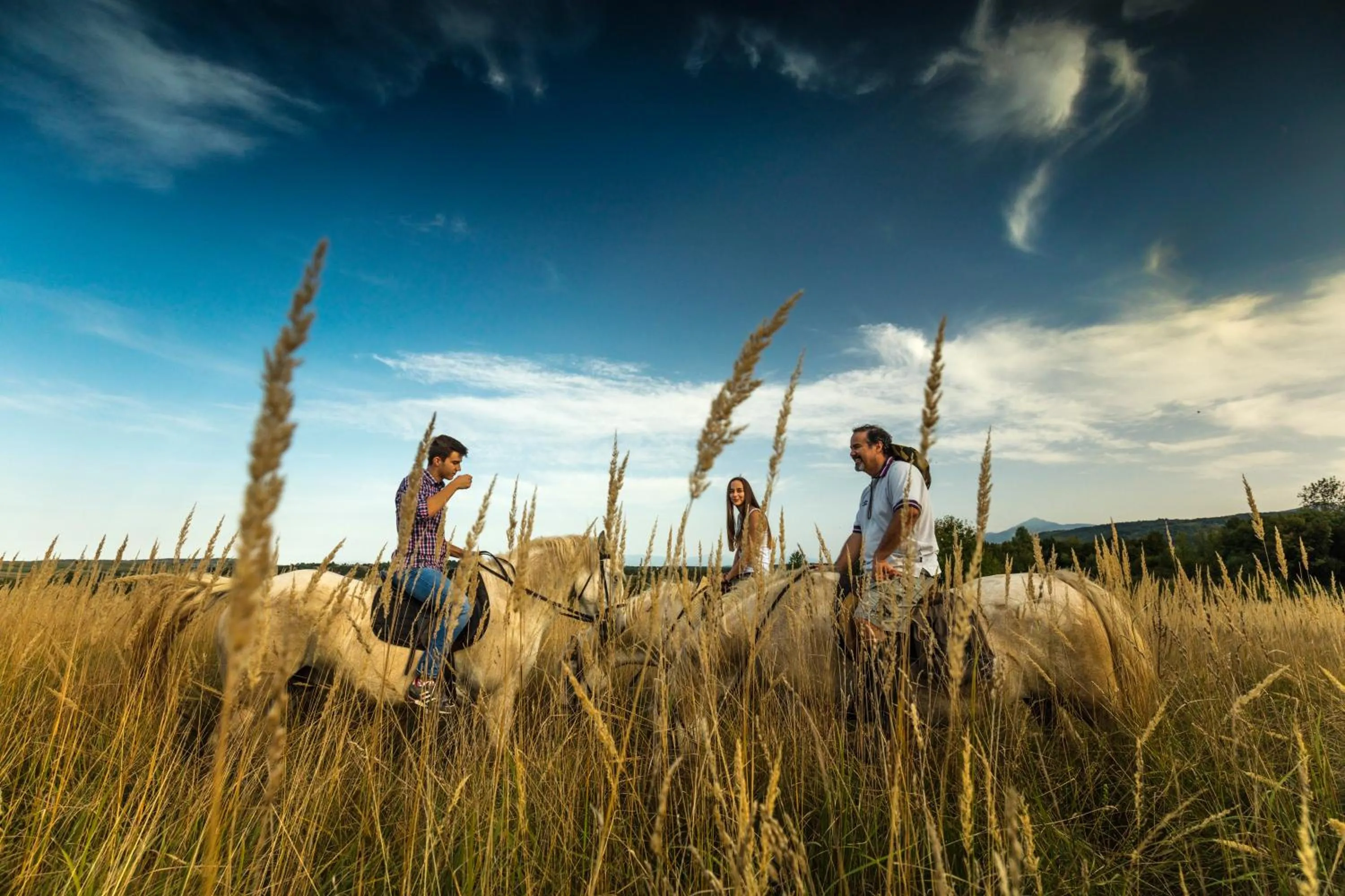 older children in Ranch Terra
