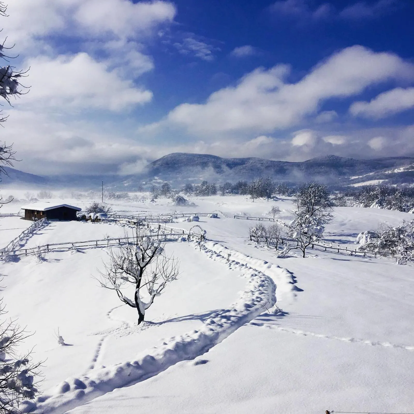 Garden view in Ranch Terra