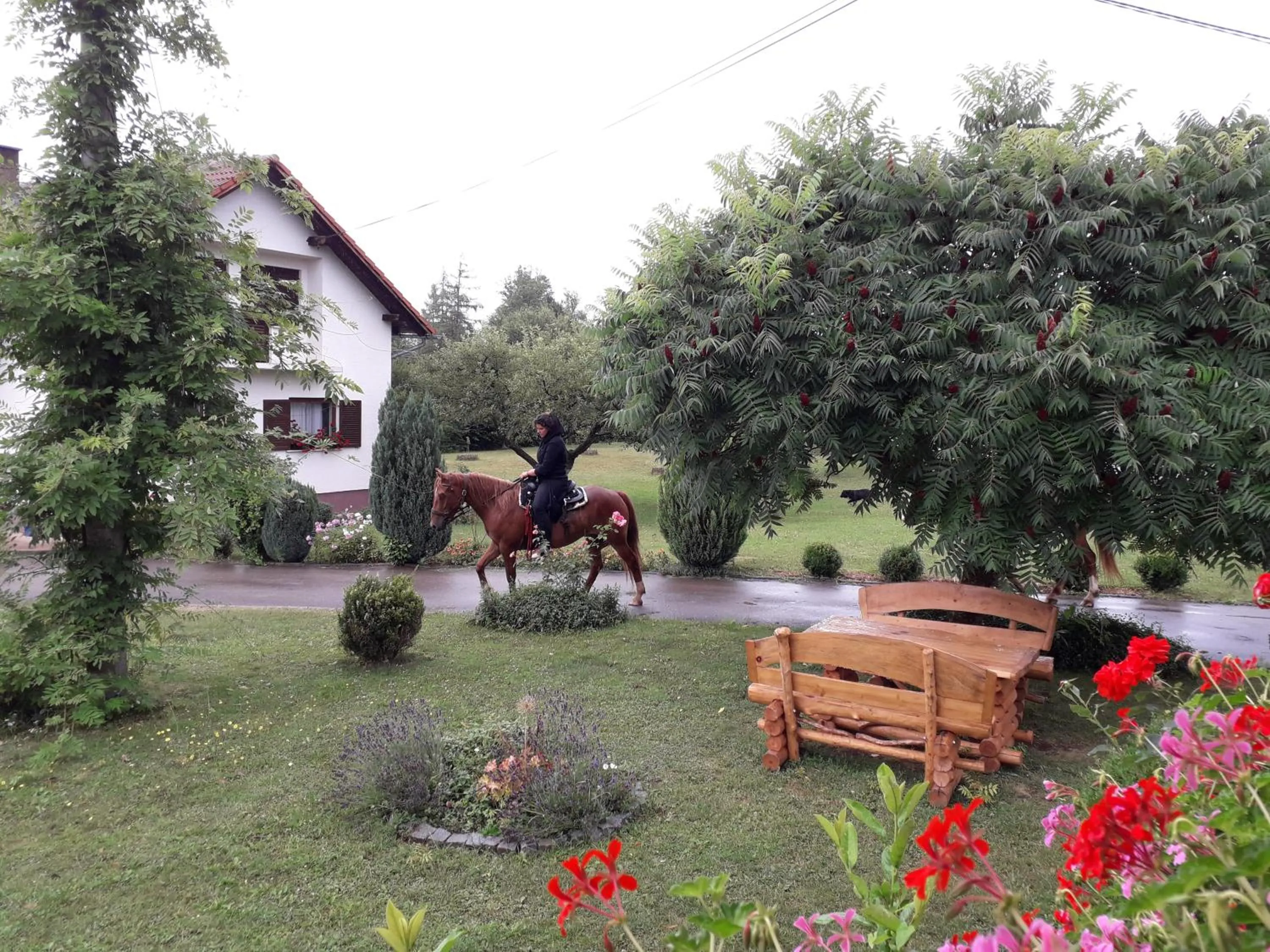 Garden in Ranch Terra
