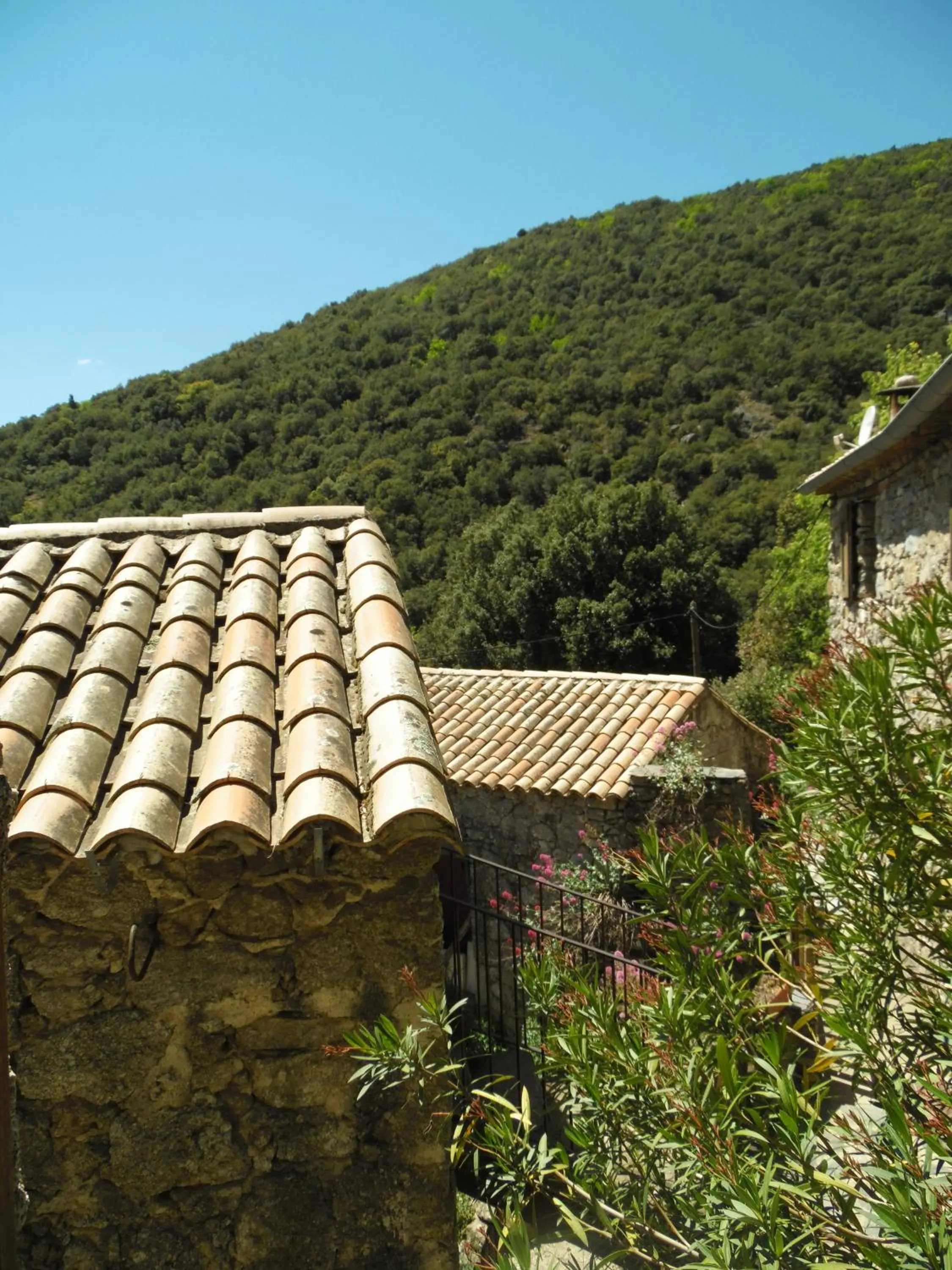 Property building in Mas des Nabières