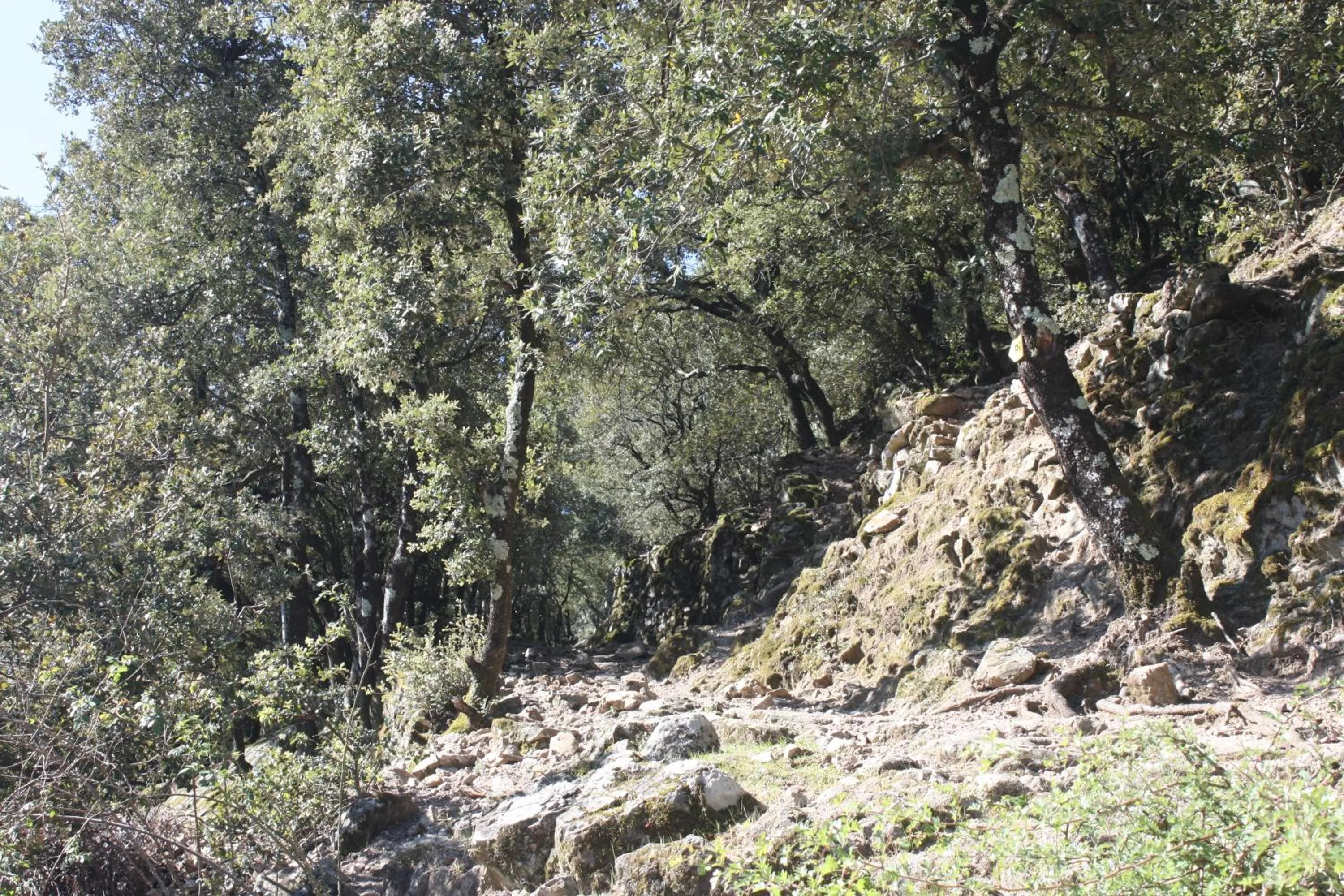 Off site in Mas des Nabières