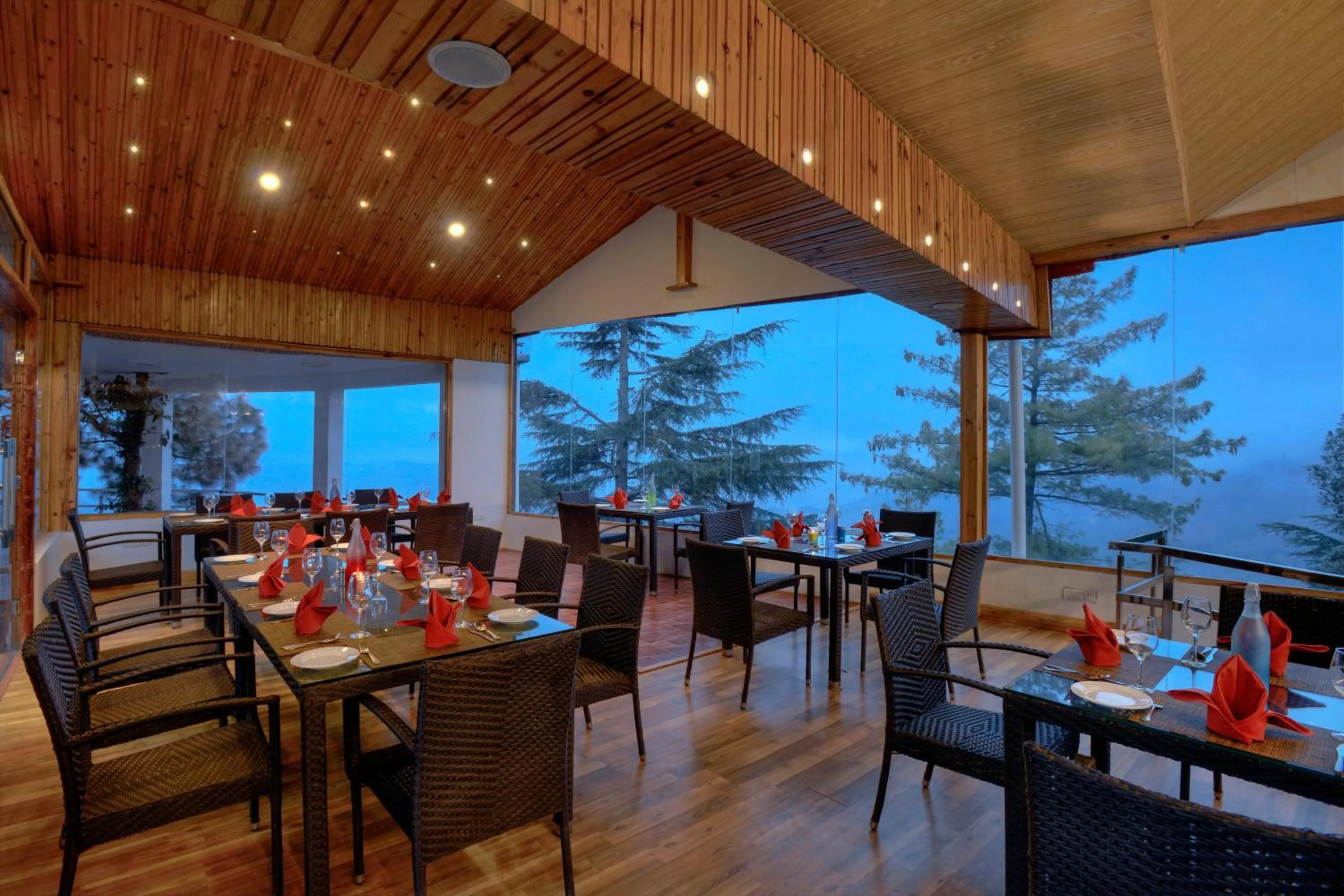 Restaurant/places to eat in TreeHouse Chail Villas