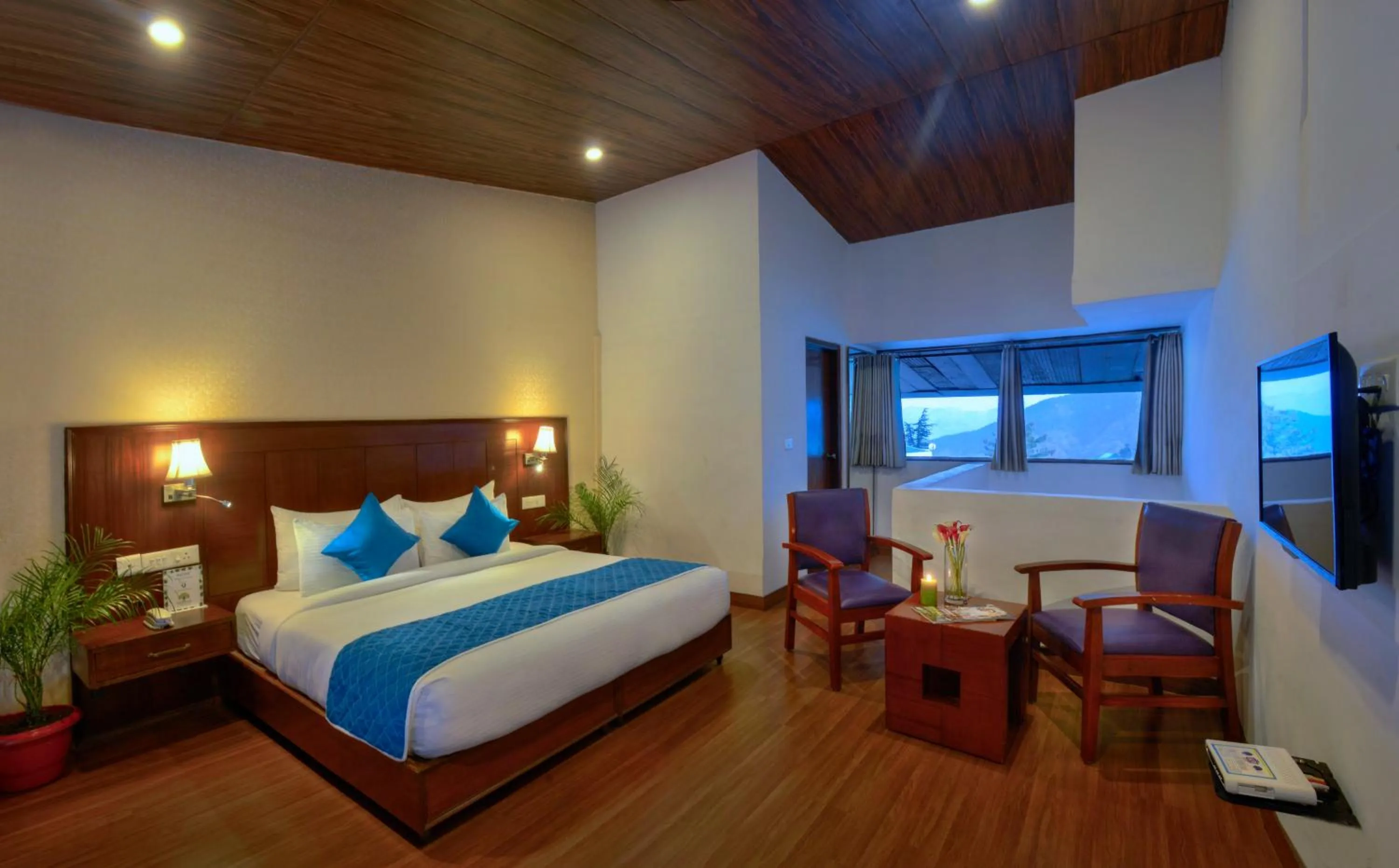 TV and multimedia, Bed in TreeHouse Chail Villas