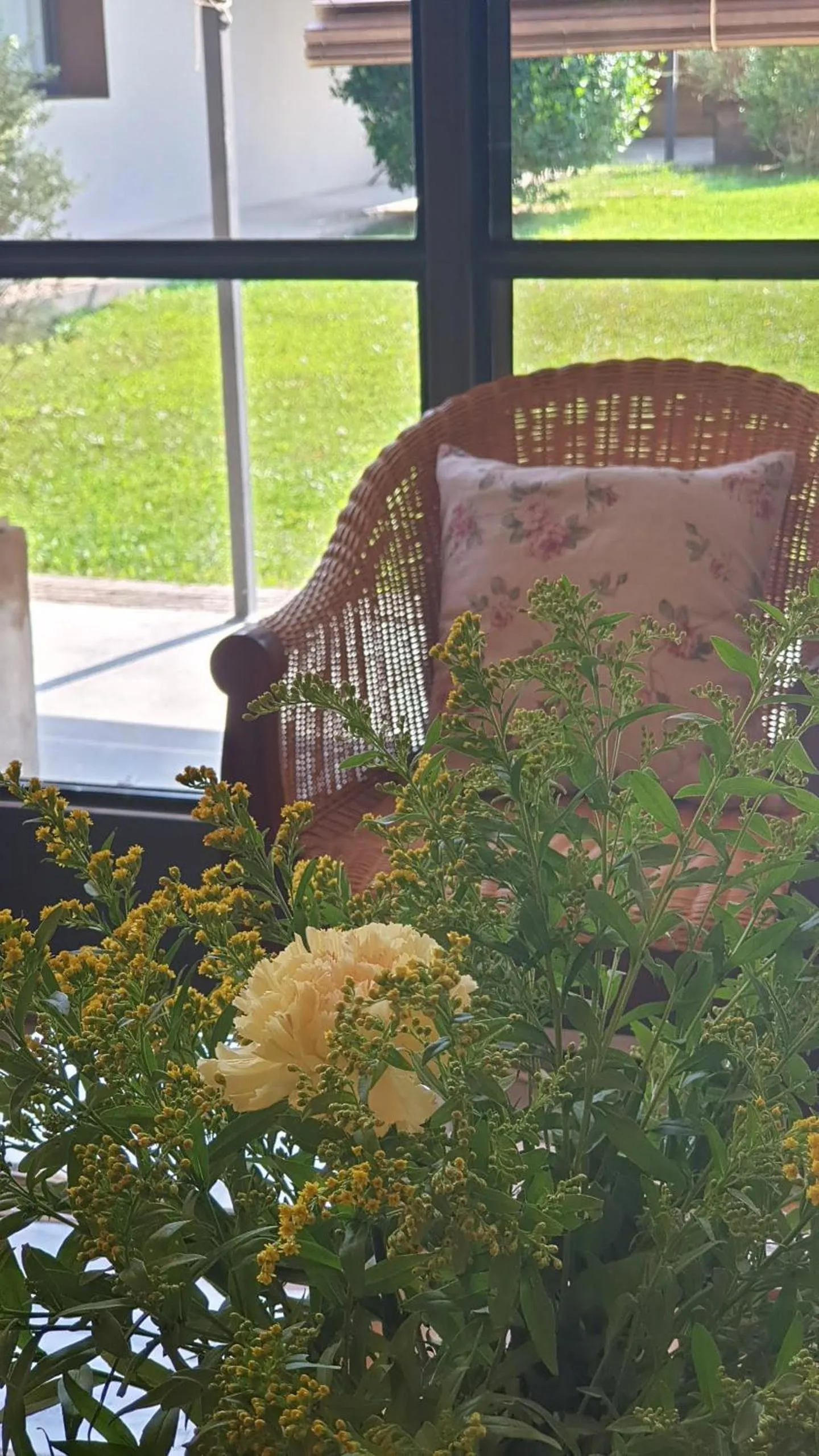 Area and facilities in Mas Ferran Adults Only