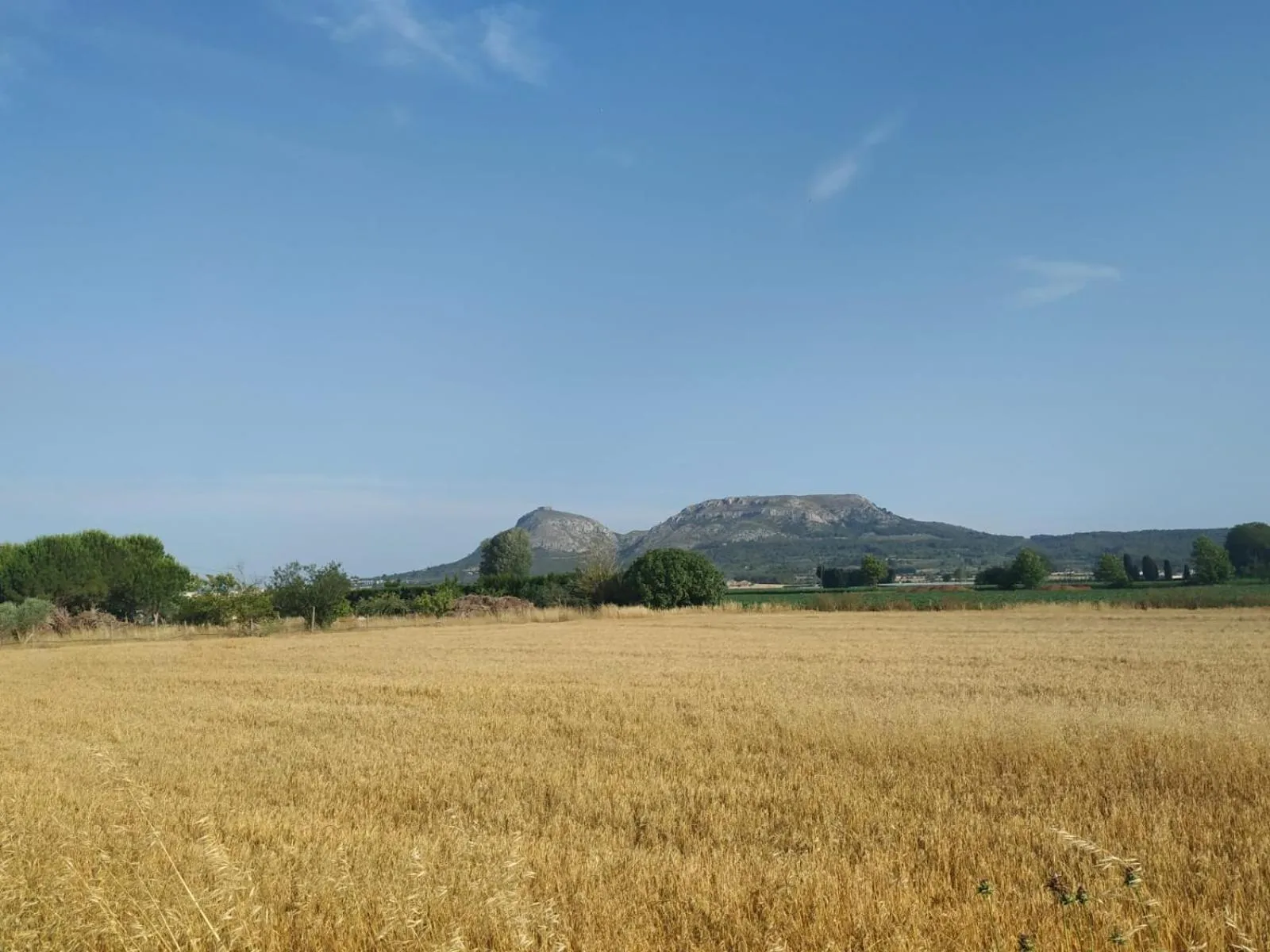 Natural landscape in Mas Ferran Adults Only