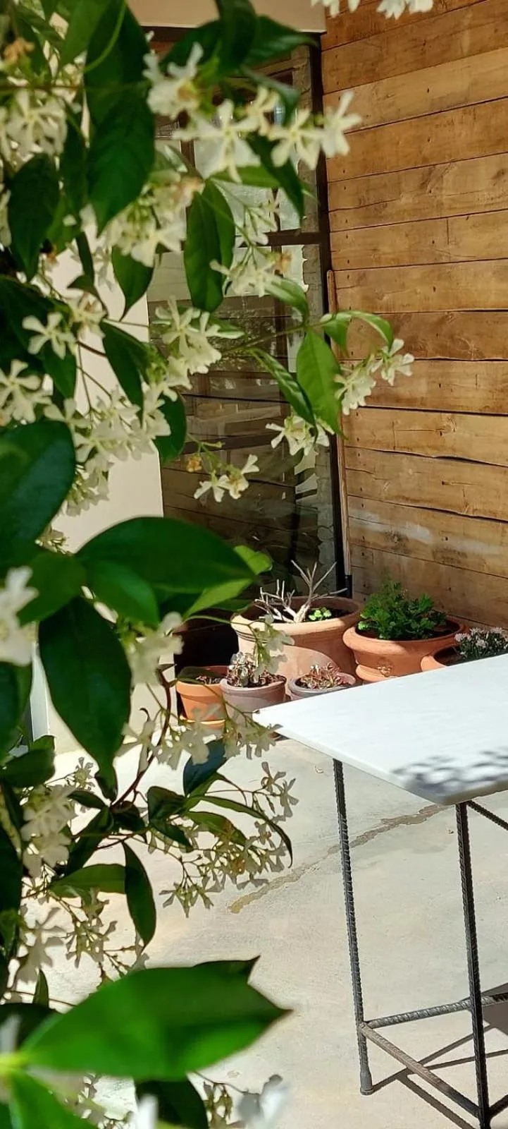 Garden in Mas Ferran Adults Only