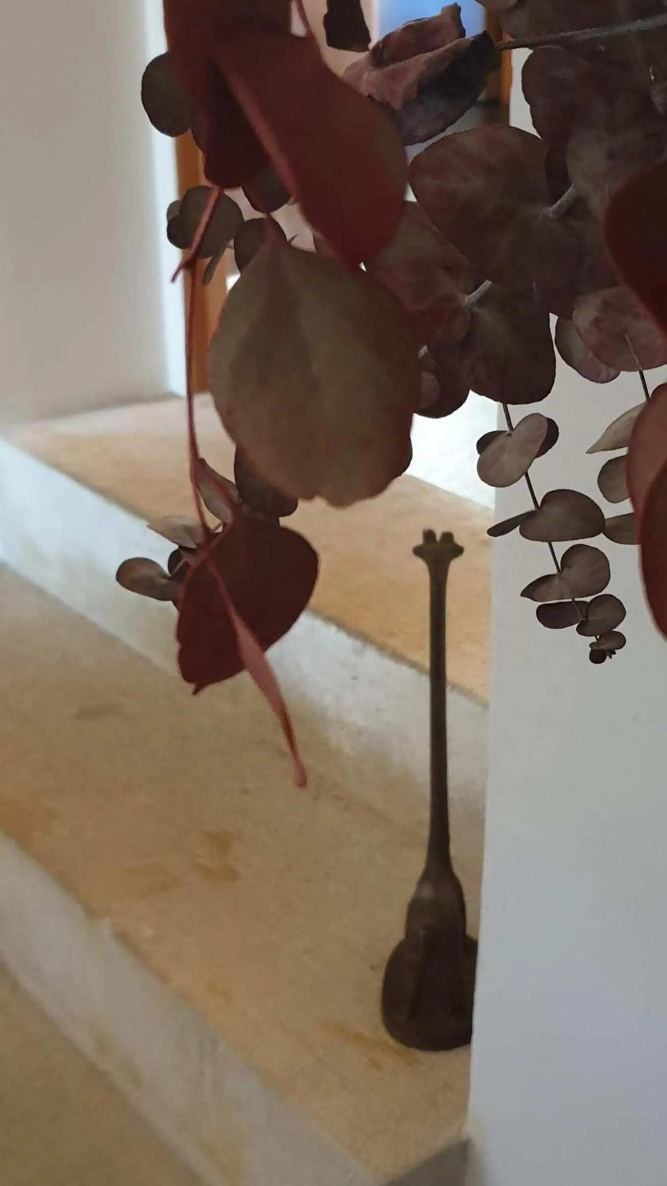 Property building in Mas Ferran Adults Only