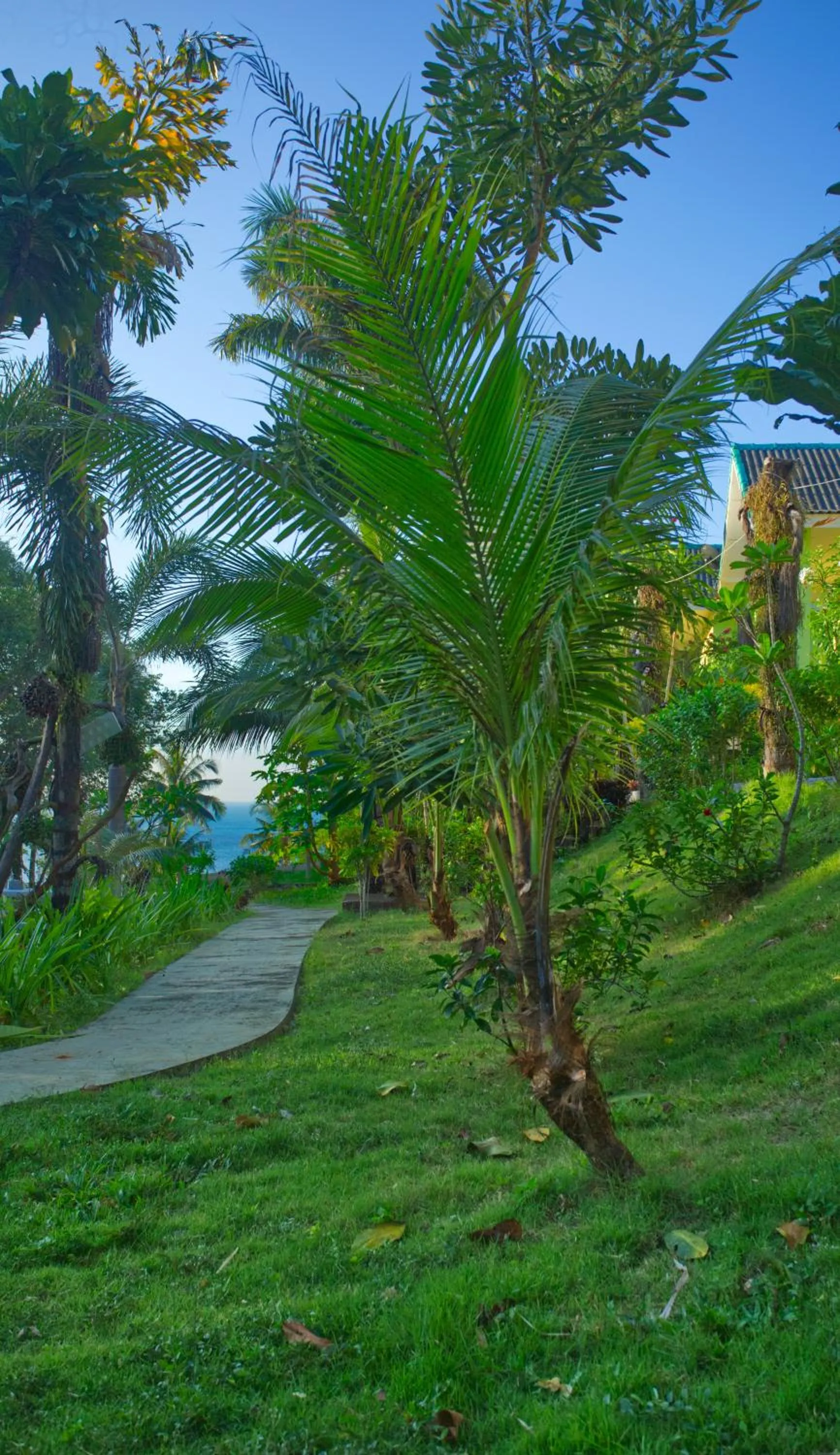 Natural landscape in Sea View Resort