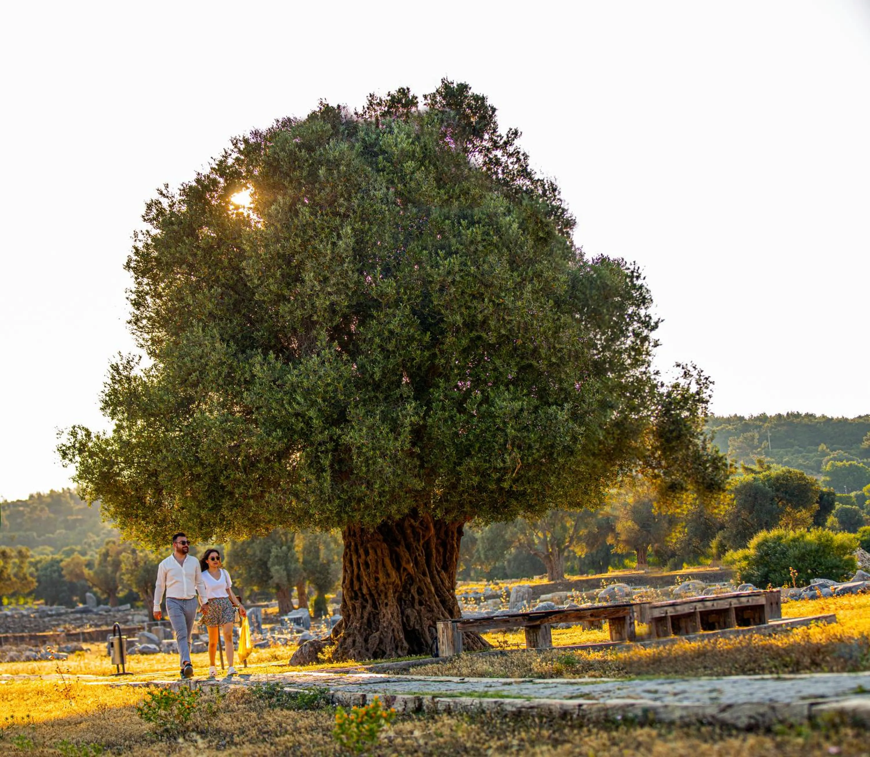 Nearby landmark in Maya Bistro Hotel & Beach