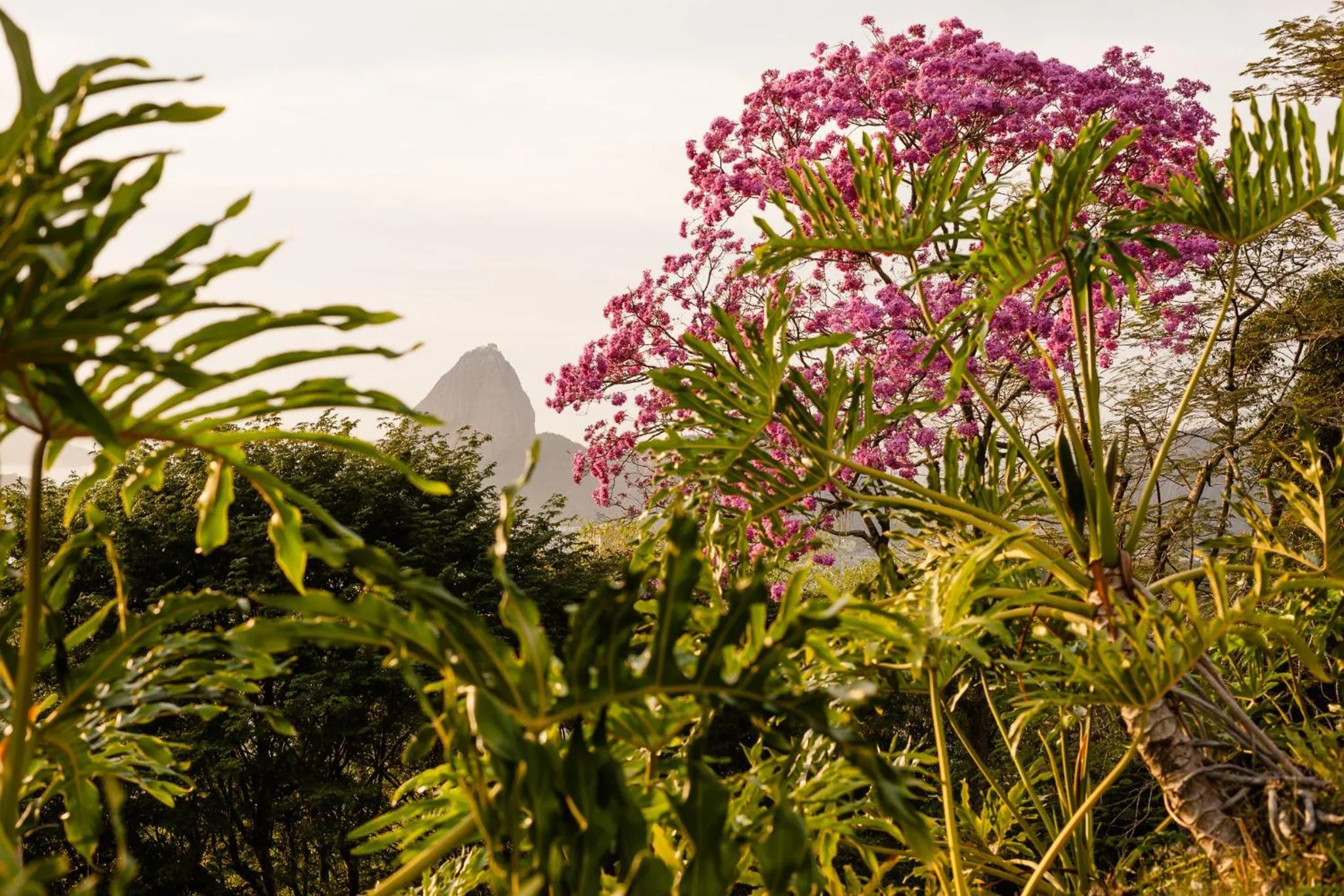 Natural landscape in Vila Santa Teresa