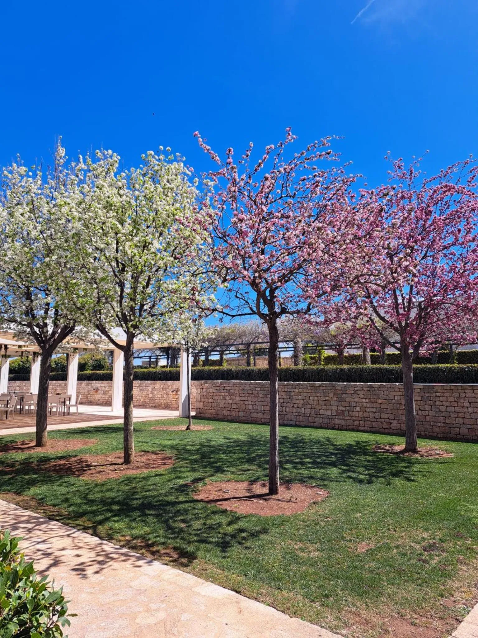 Garden in Relais Il Santissimo