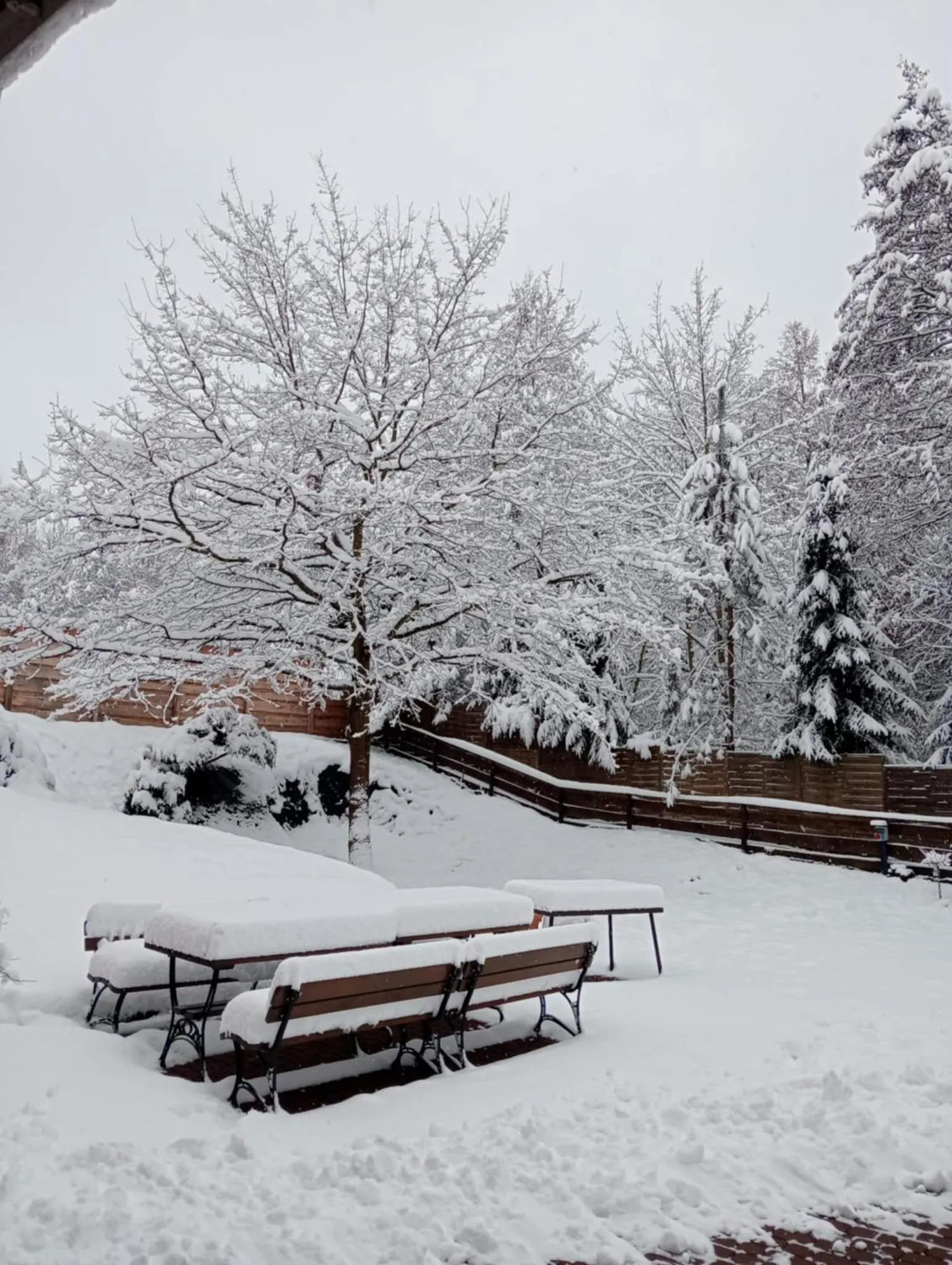Salis Resort