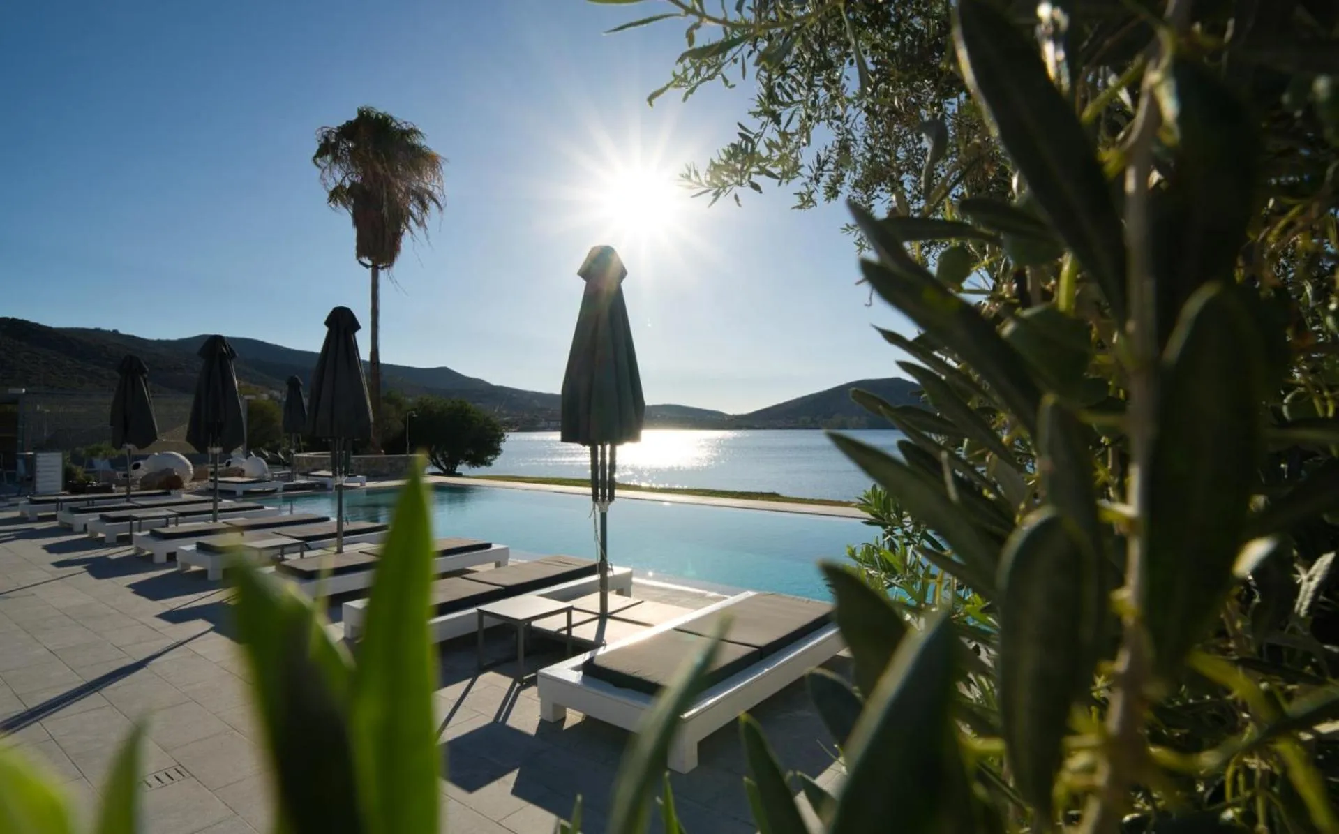 Swimming pool in Dardiza Boutique Hotel