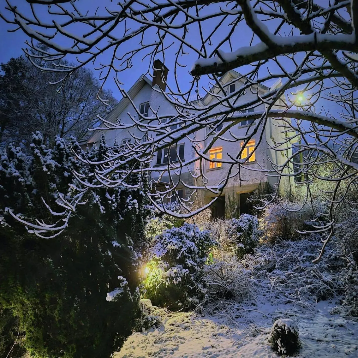 B&B Villa Belle Epoque