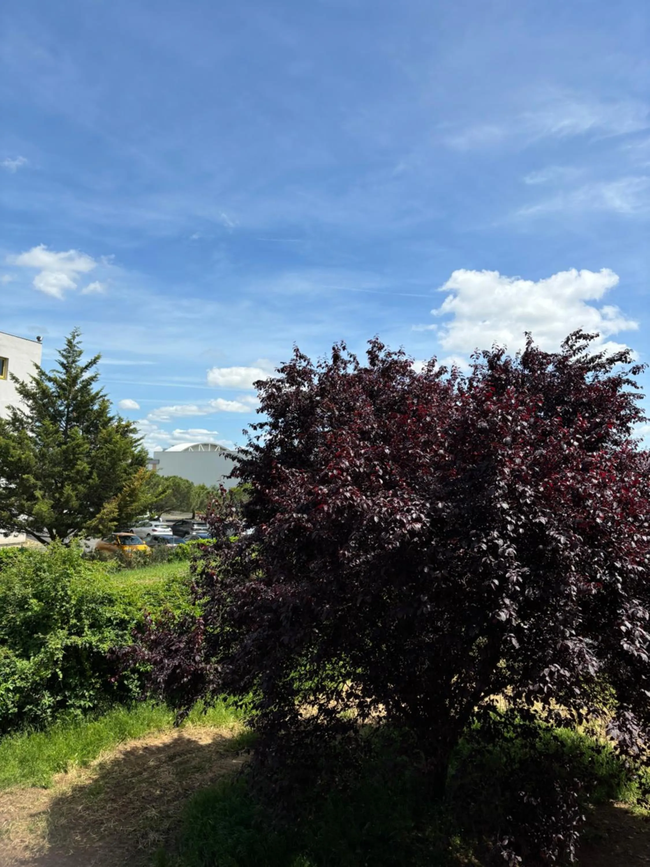 Garden view in Initial by Balladins Lyon Villefranche-sur-Saône