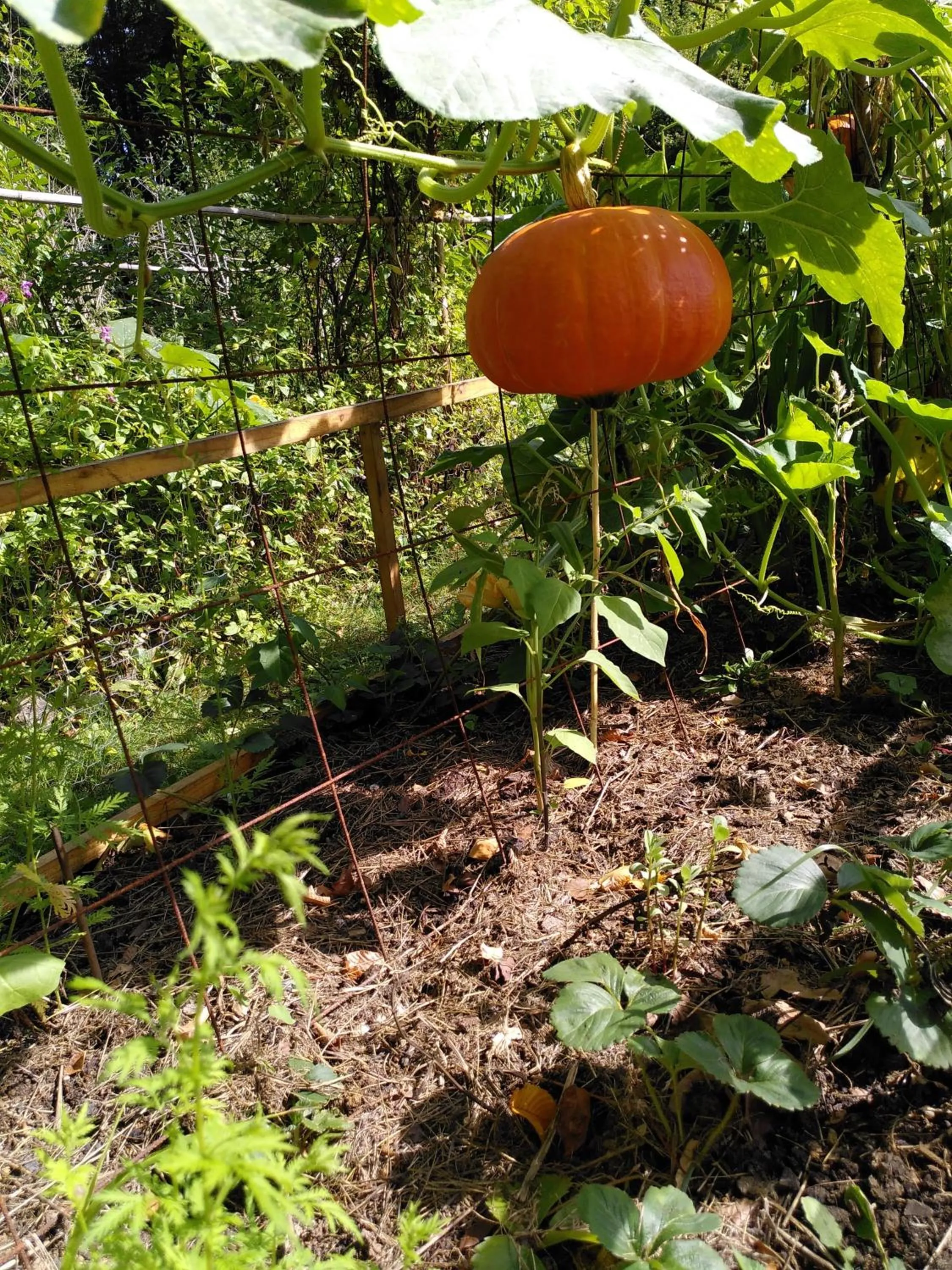 Spring in Le jardin de Saint Jean