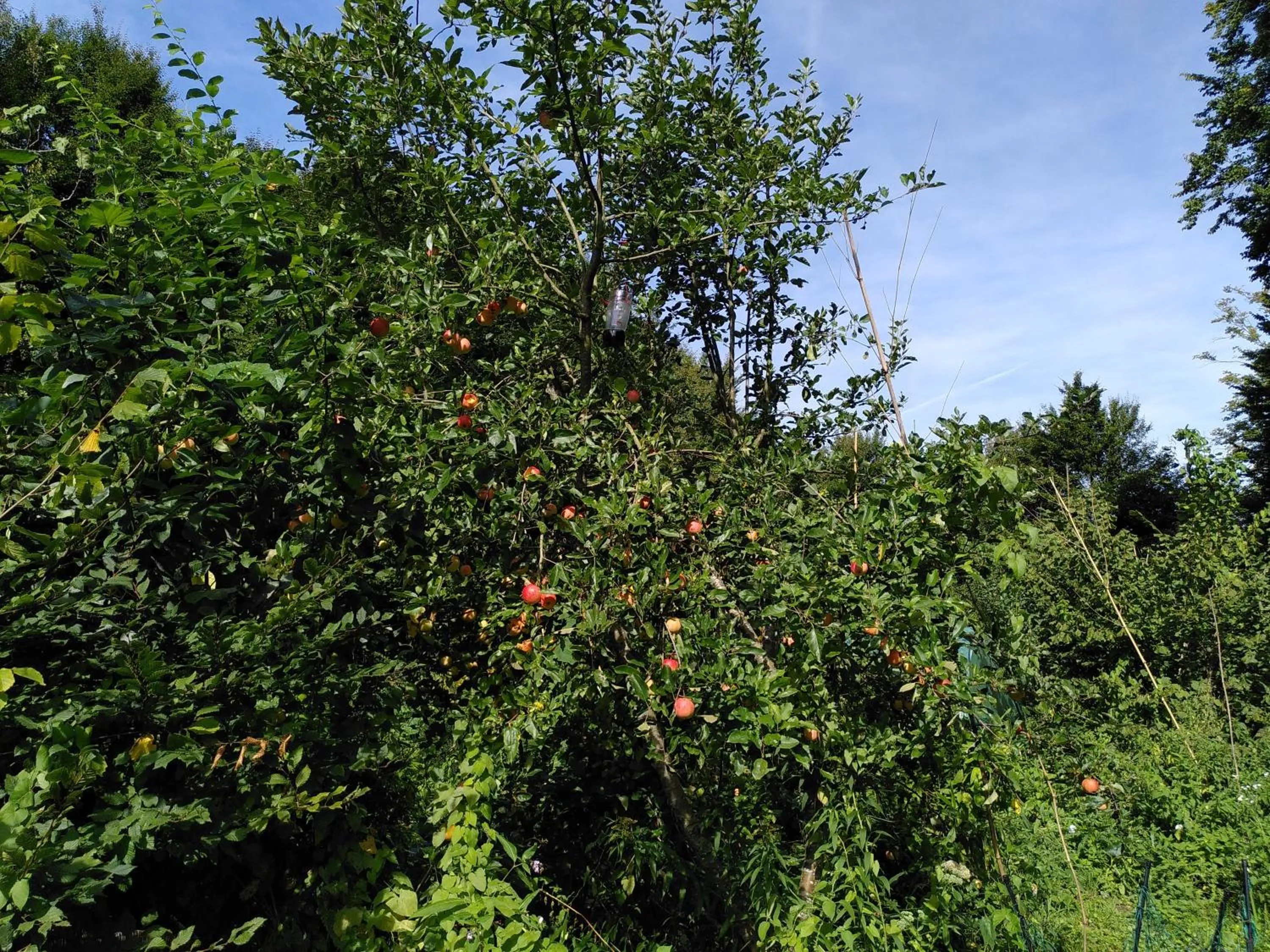 Natural landscape in Le jardin de Saint Jean