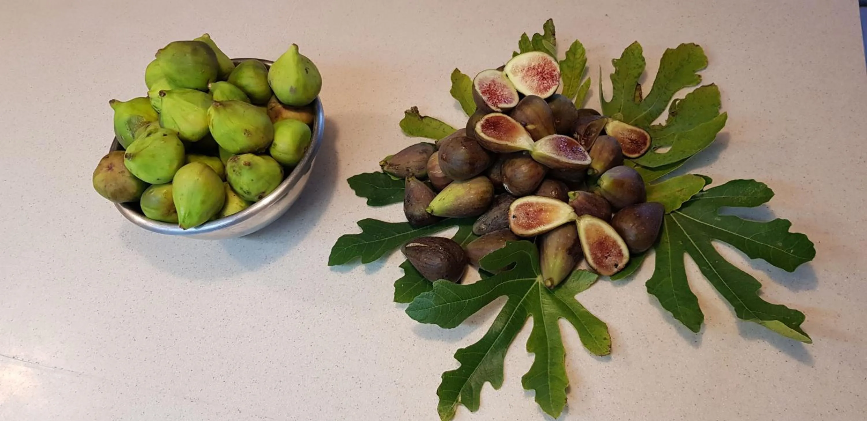 Food in Le jardin de Saint Jean