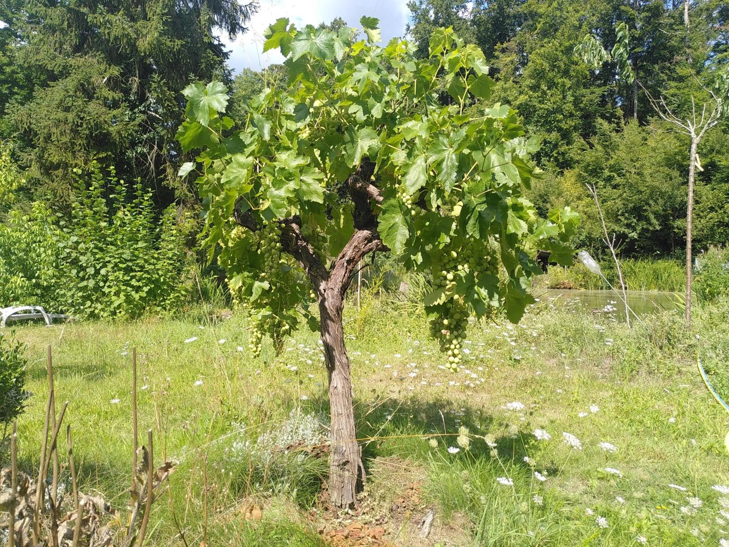 Spring in Le jardin de Saint Jean