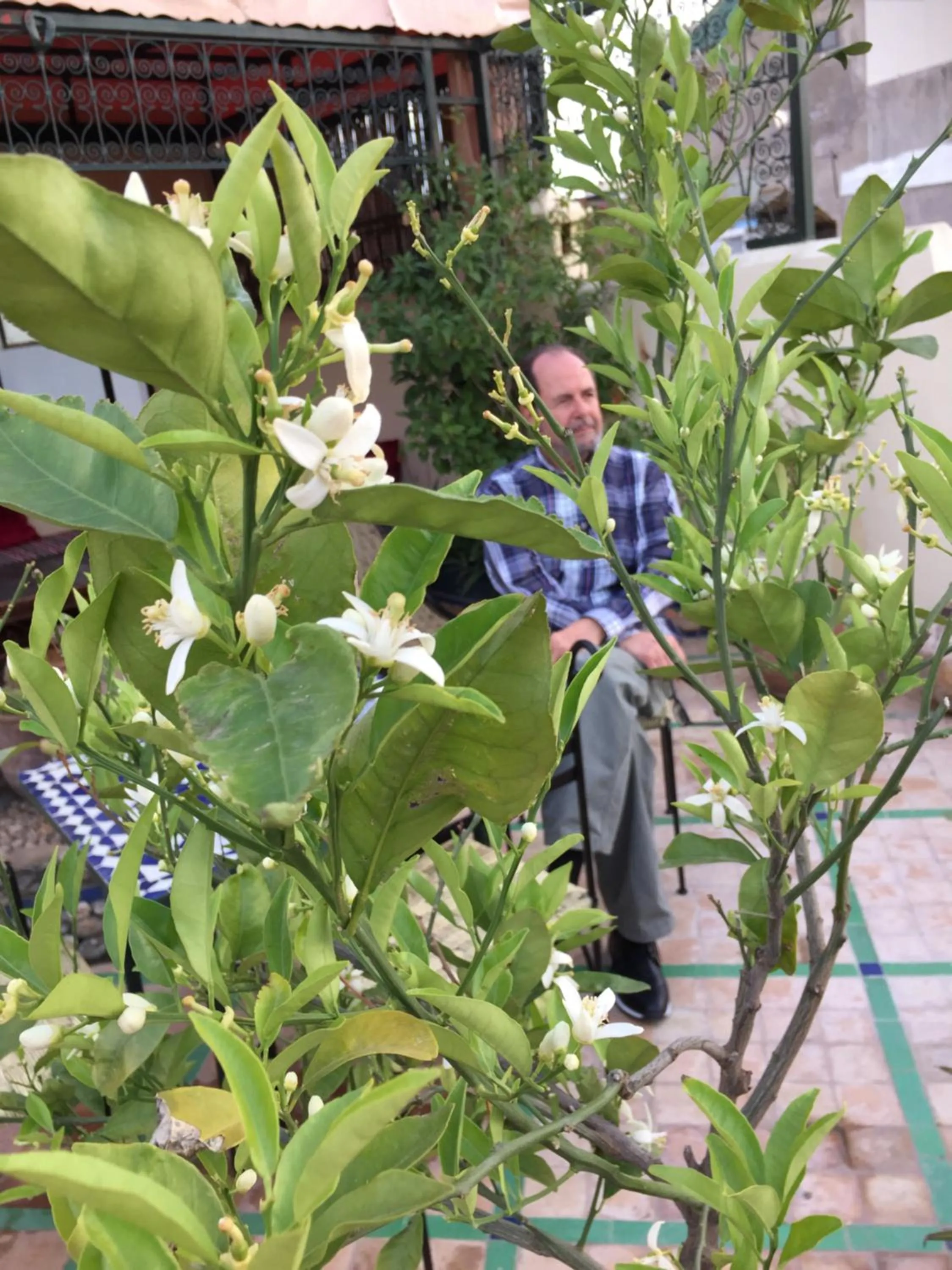 Balcony/Terrace in Fès Riad Scalia Traditional Guesthouse Morocco