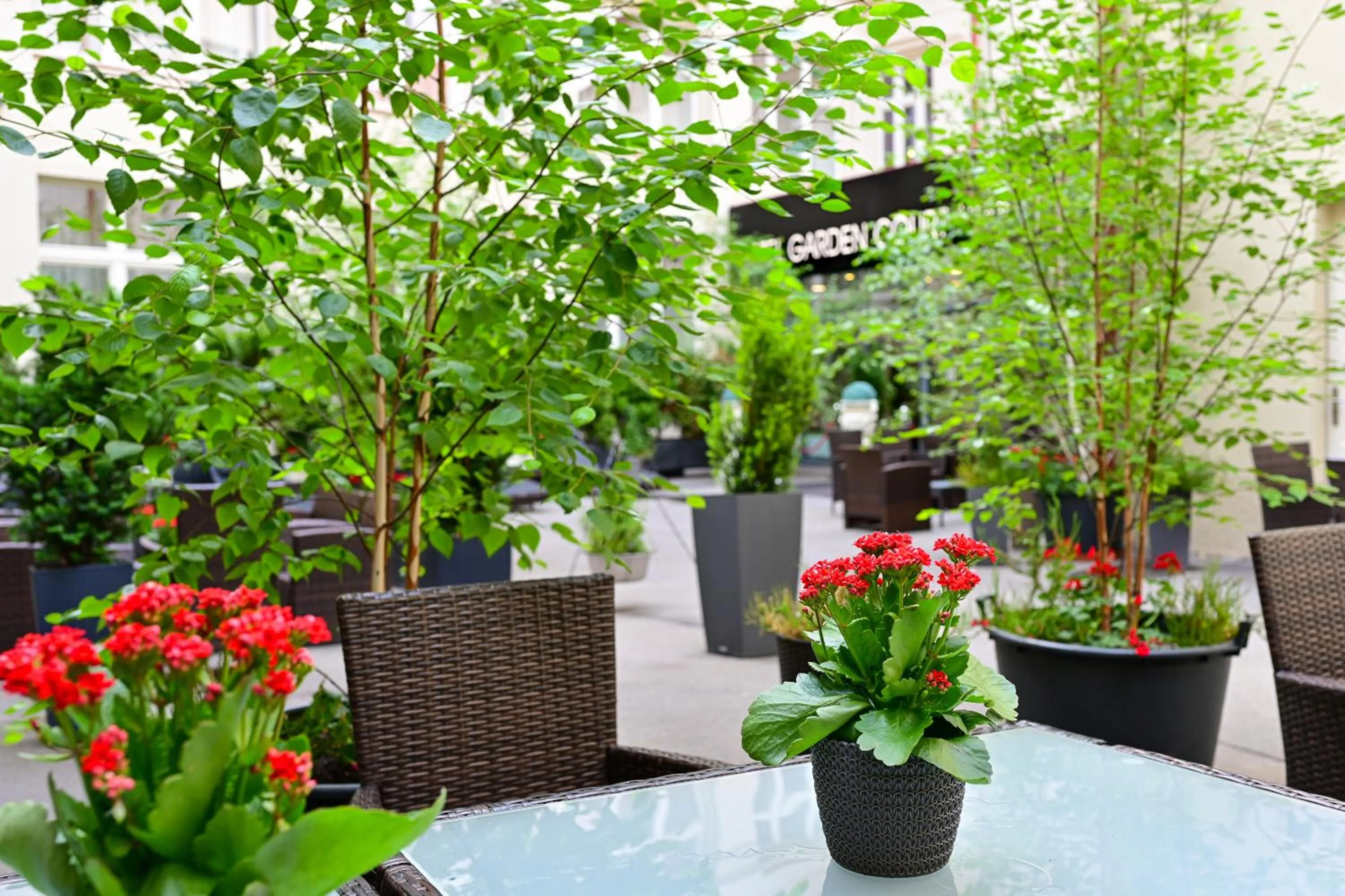 Patio in Hotel Garden Court