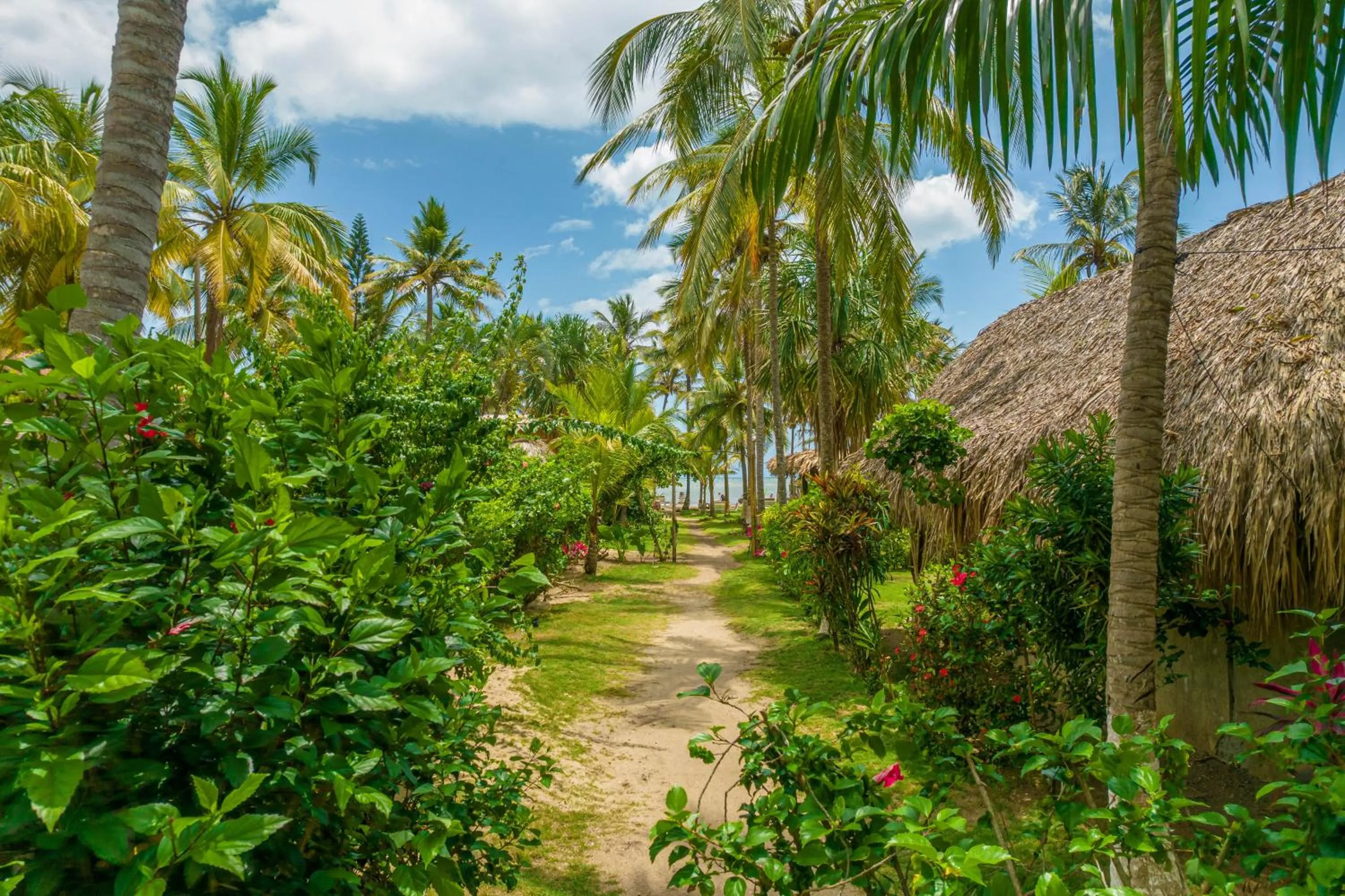 Bungalow - Beach Front in Casa Chapolin Boutique Guesthouse