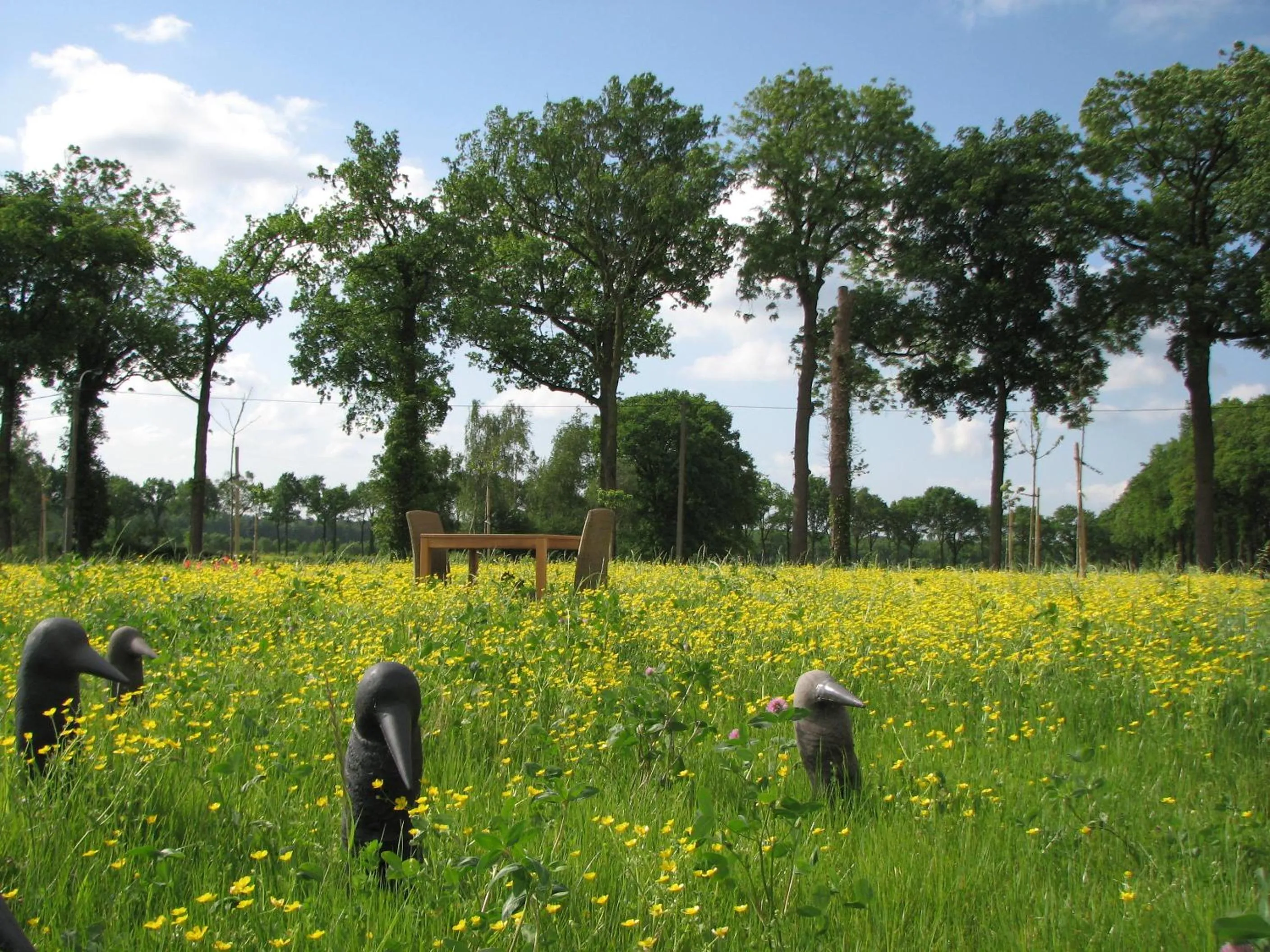 Area and facilities in Cleythil Hotel