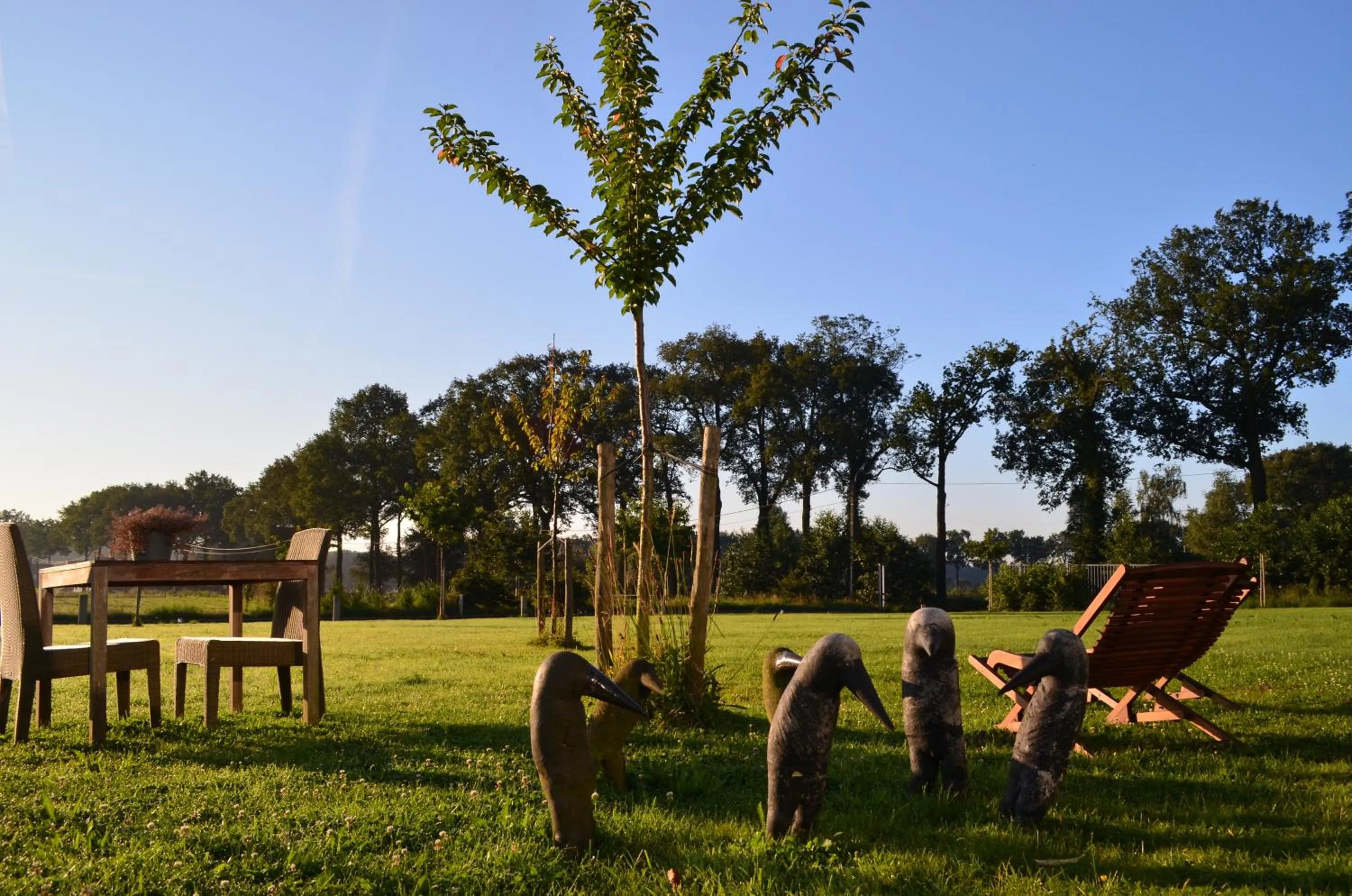 Area and facilities in Cleythil Hotel