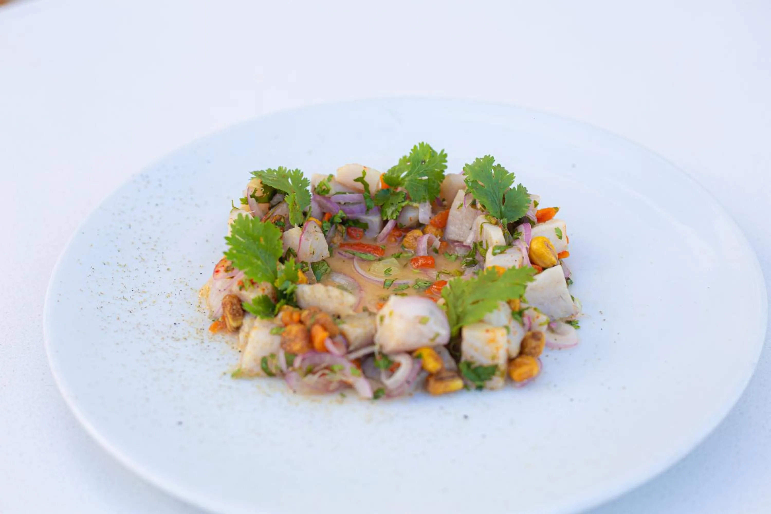 Food and drinks in Loa Tolú by Bernalo Hotels