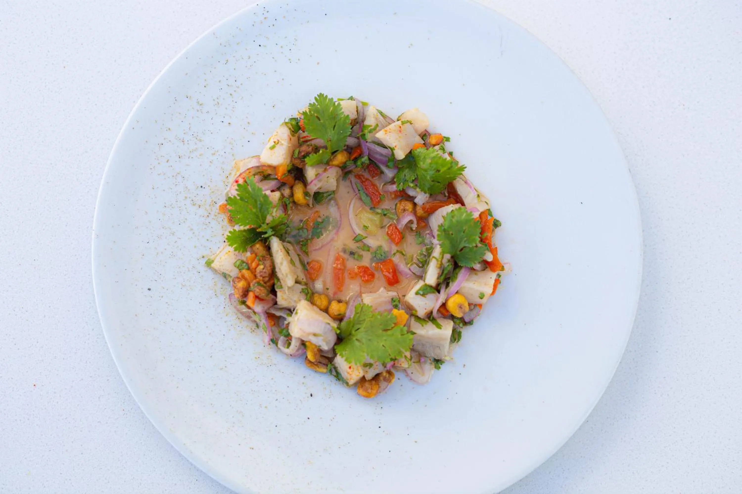 Food and drinks in Loa Tolú by Bernalo Hotels