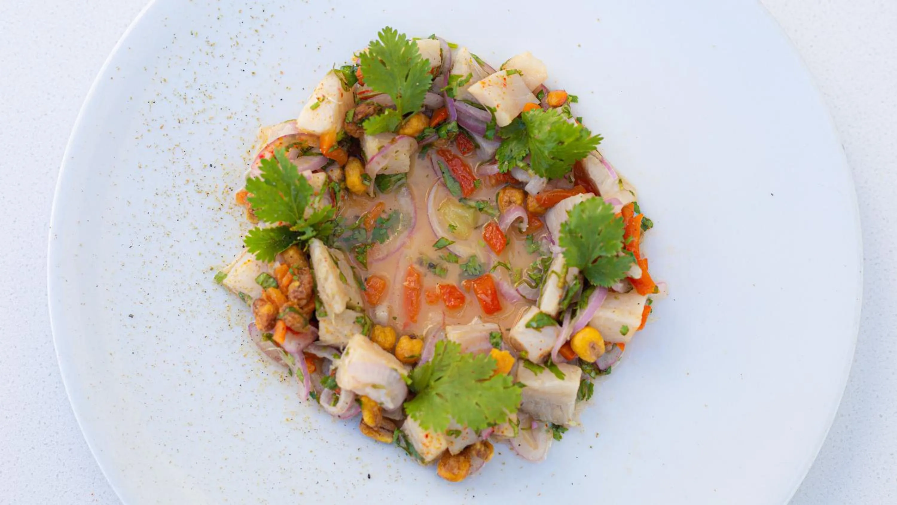 Food and drinks in Loa Tolú by Bernalo Hotels