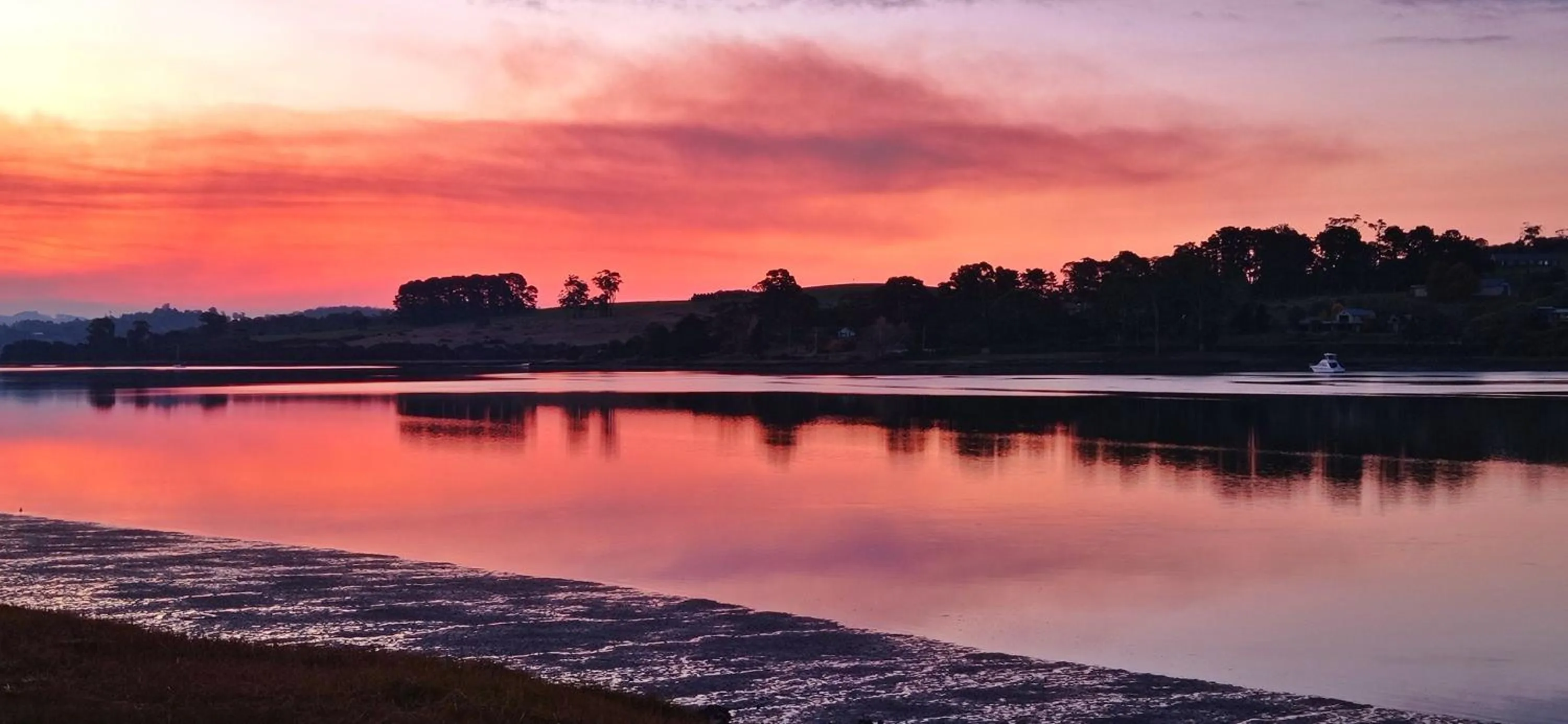 Rosevears Riverview Hotel